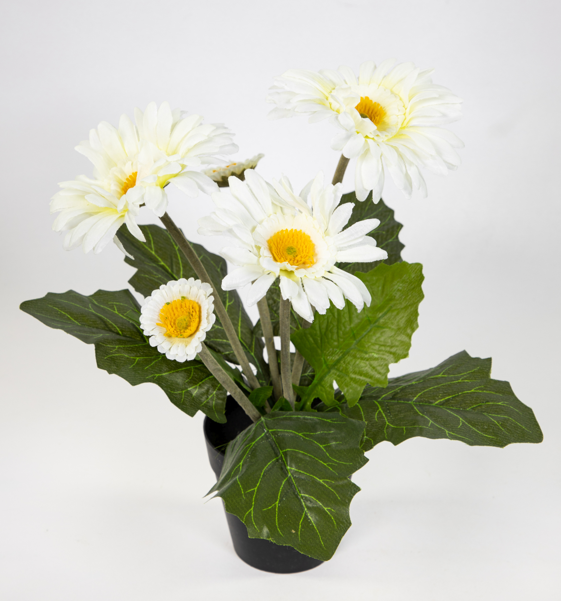 Gerbera 32cm weiß im Topf JA künstliche Pflanzen Gerberapflanze Seidenblumen Kunstblumen Kunstpflanzen
