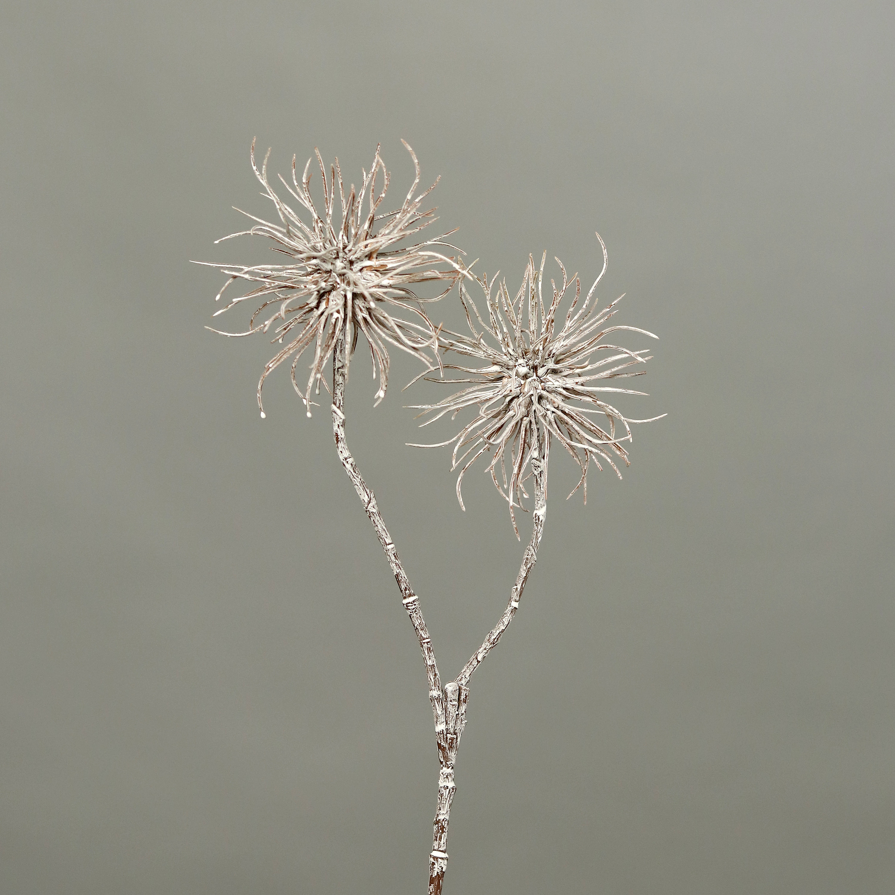 Zaubernusszweig / Hamameliszweig 45cm braun-weiß GA Kunstblumen Kunstzweig künstliche Blumen Hamamel