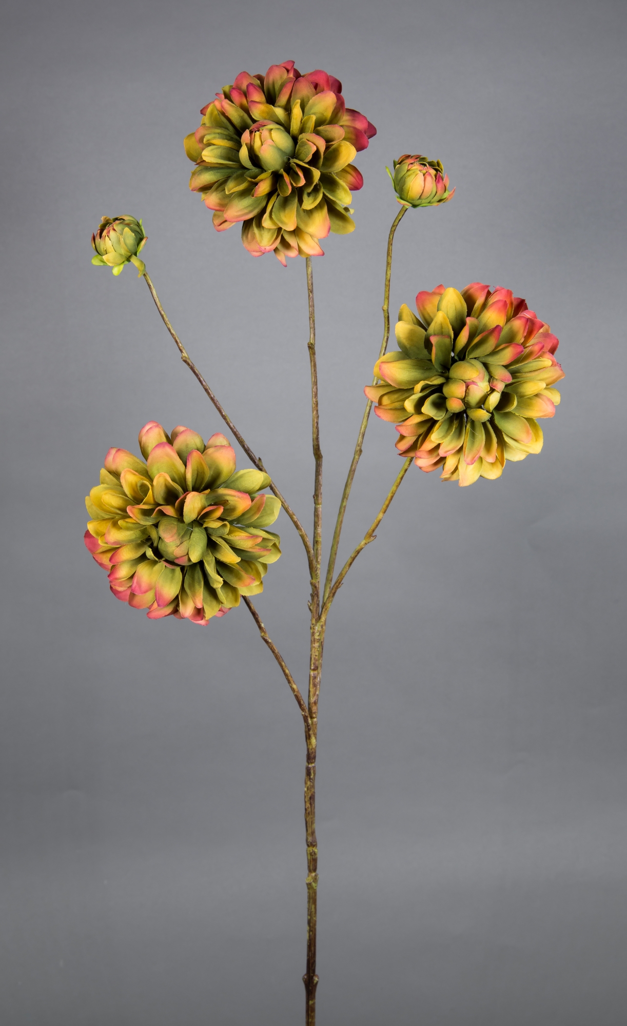 Dahlienzweig 90cm grün-bordeaux CG Kunstblumen künstliche Blumen Dahlie