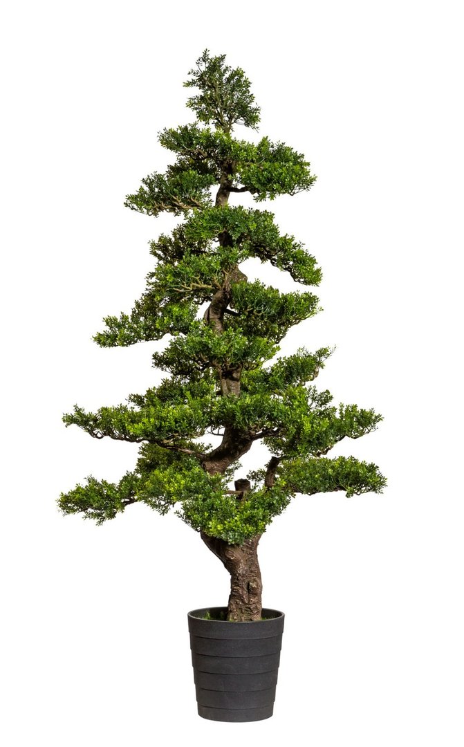 Bonsai Teeblatt 150x70cm GA künstlicher Baum Kunstbaum Kunstpflanzen