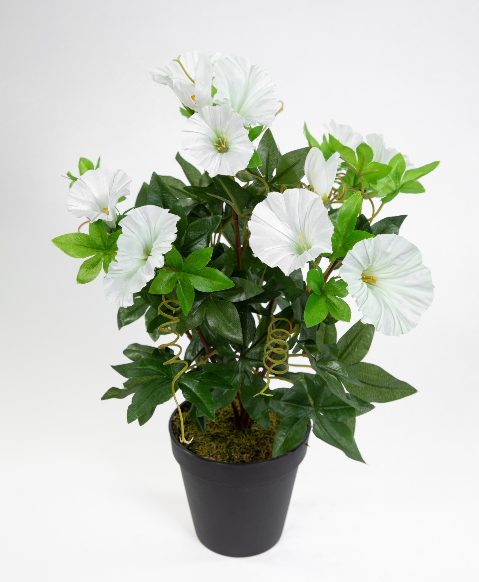 Petunienbusch 40cm weiß im Topf ZF künstliche Pflanzen künstliche Petunie Kunstblumen Kunstpflanzen