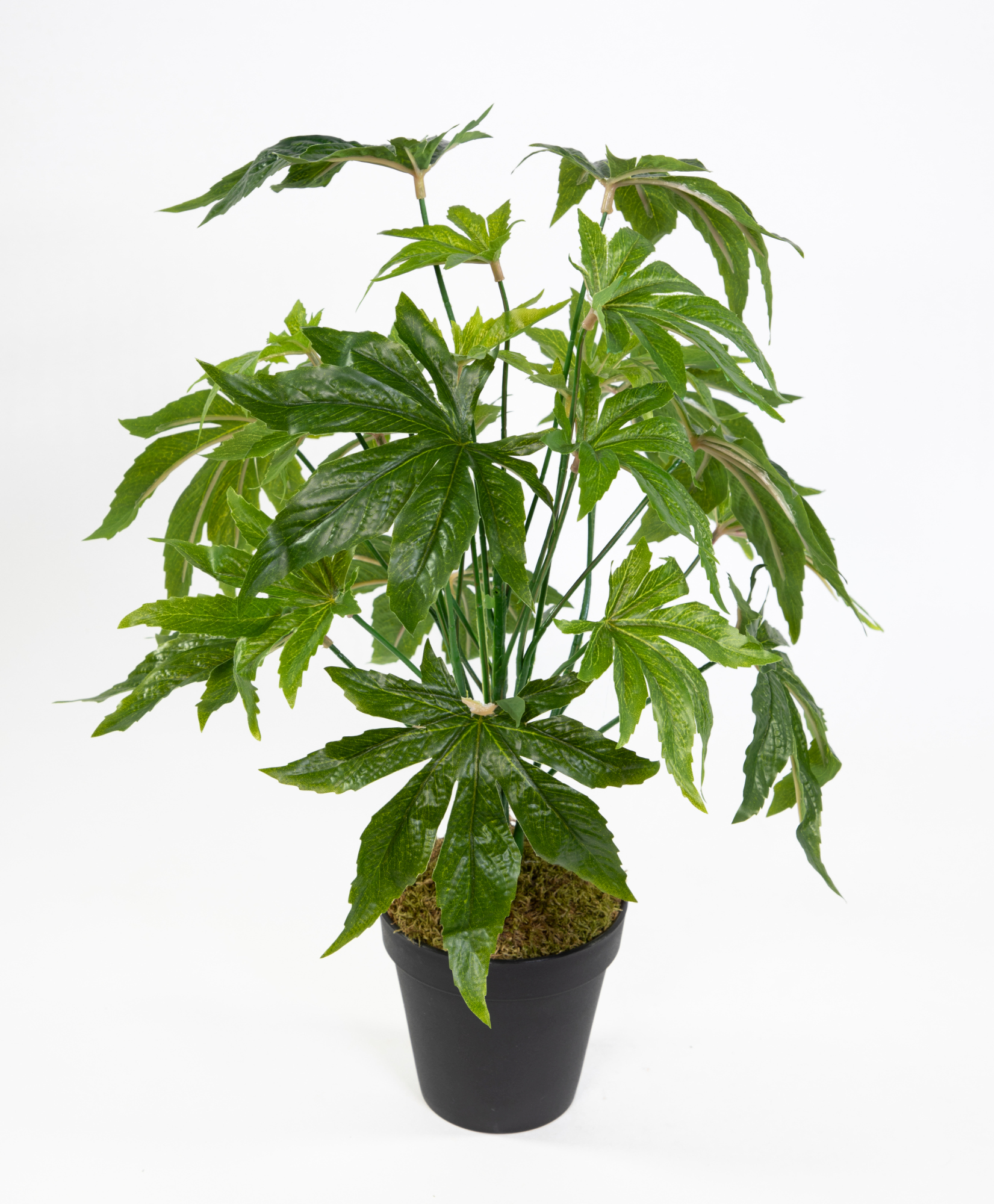 Hanfpflanze / Cannabispflanze 42cm im Topf JA Kunstpflanzen künstliche Pflanzen Hanf Cannabis Weed