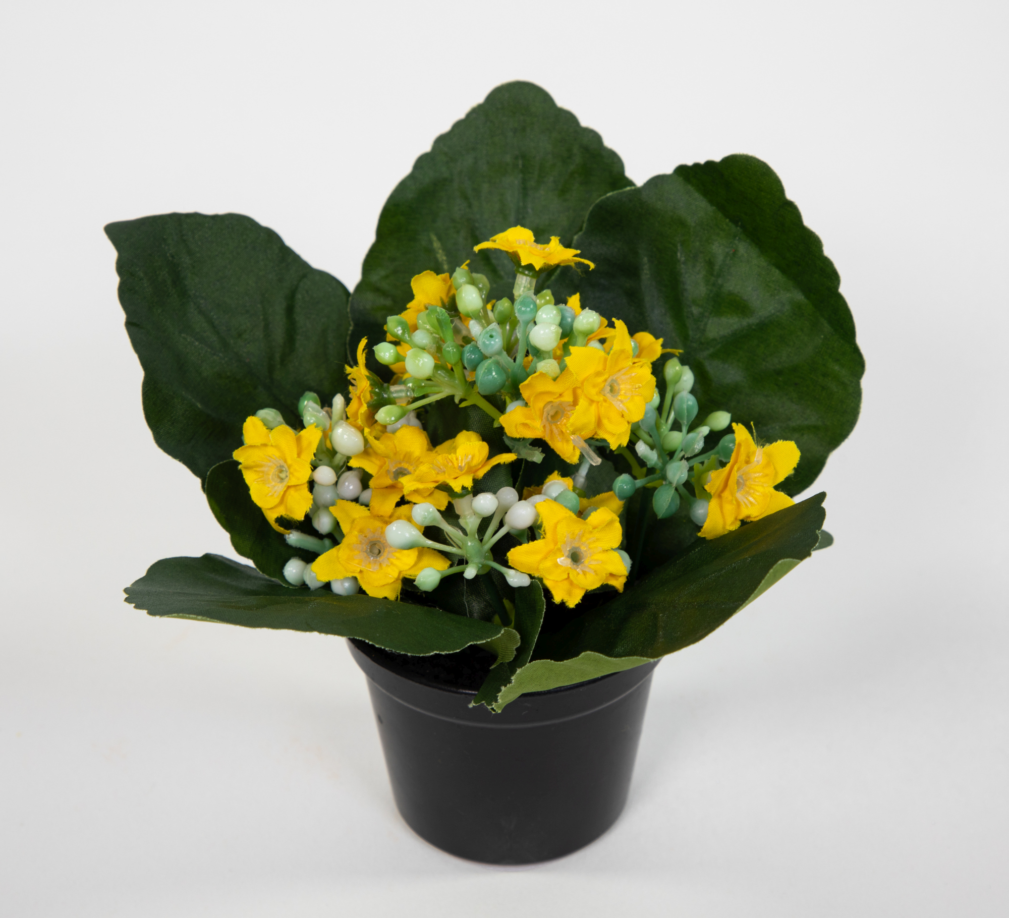 Kalanchoe 12cm gelb im Topf JA Kunstblumen künstliche Blumen Pflanzen Kunstpflanzen
