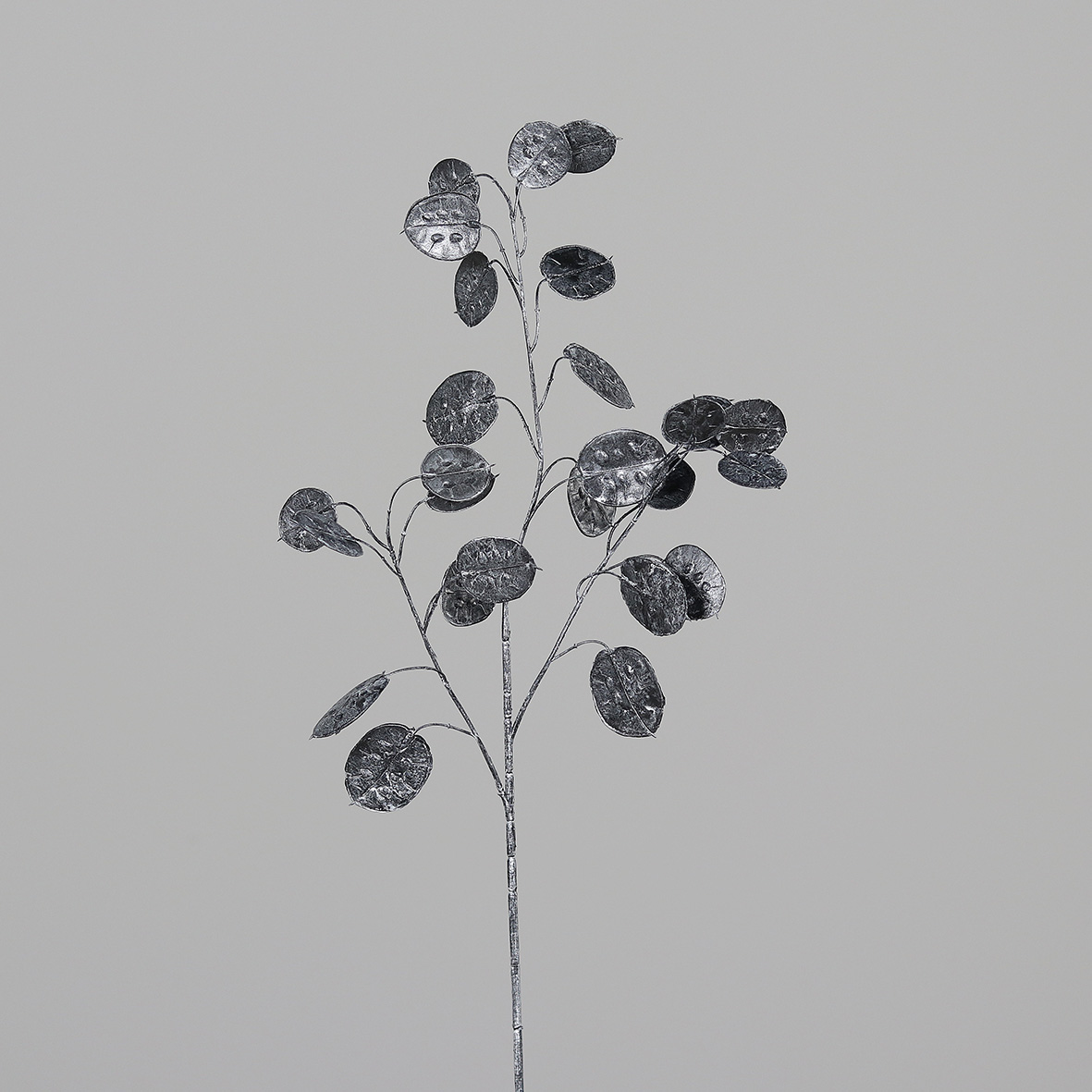 Silberdollar / Lunaria Zweig 68cm anthrazit / schwarz DP Kunstzweig künstlicher Silberblatt Zweig