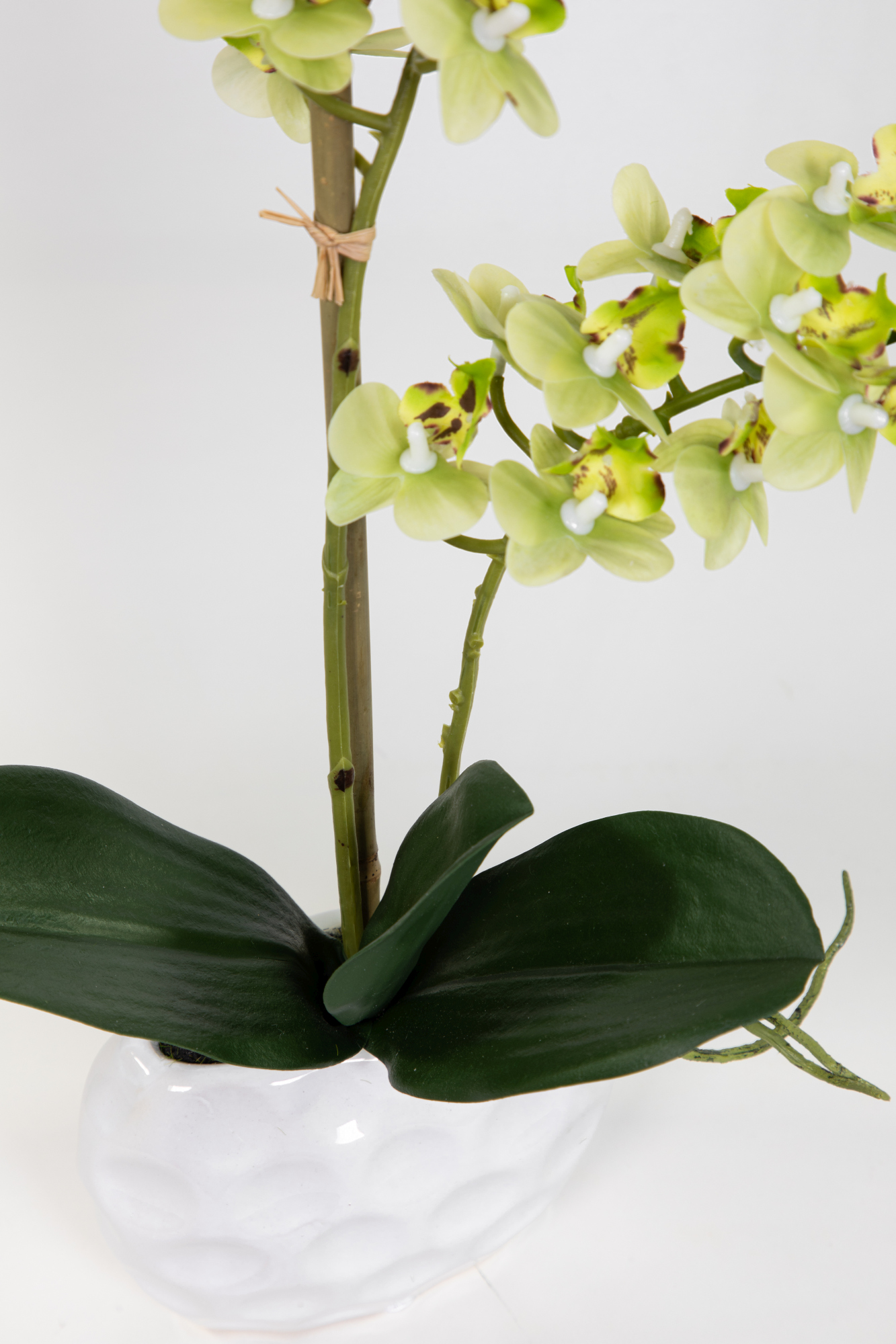 Kunstblumen Keramikvase Orchidee Touch grün Real in GA Blumen 38x22cm künstliche weißer