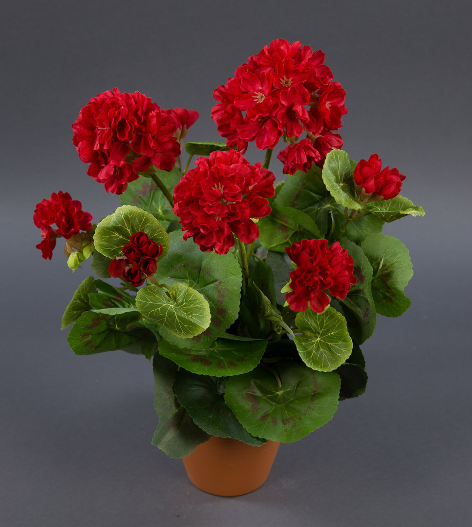 Geranie 36cm rot -ohne Topf- LM Kunstpflanzen künstliche Blumen Pflanzen Kunstblumen