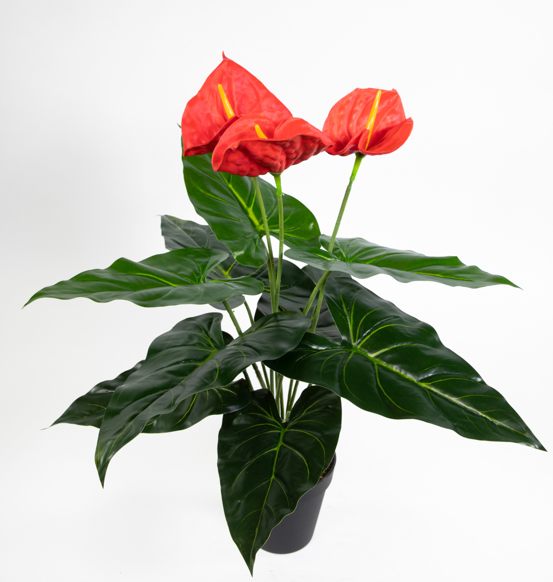 Anthurie Real Touch 50cm rot im Topf ZJ Kunstpflanzen Kunstblumen künstliche Flamingoblume Blumen