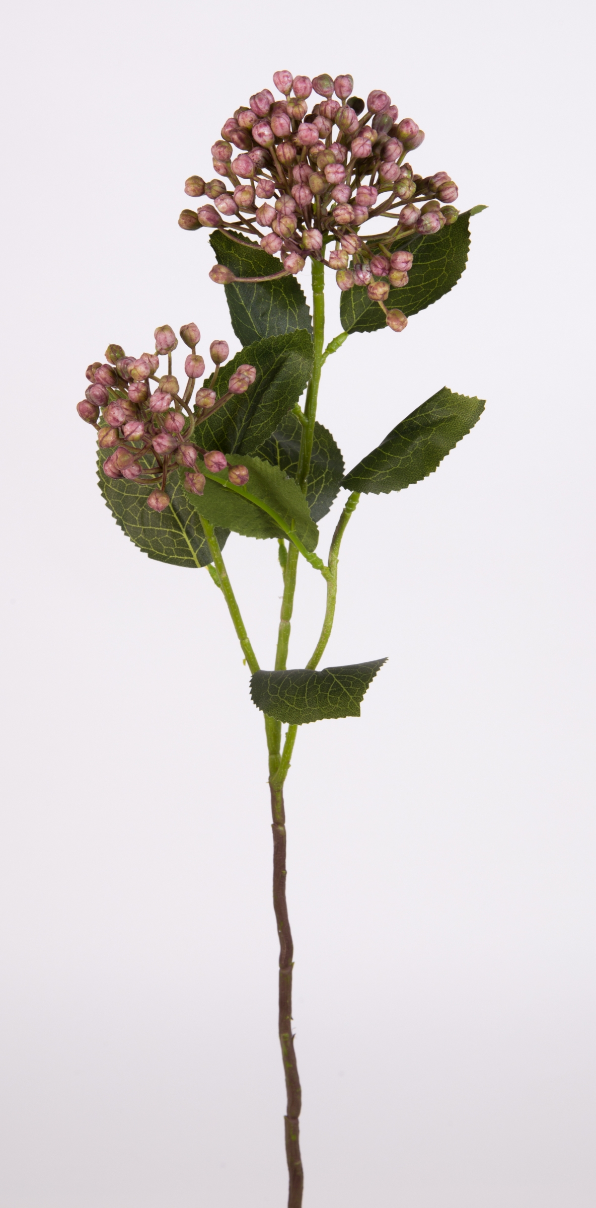 Schneeball / Viburnum Zweig 55cm rosa FT Kunstblumen Kunstpflanzen künstliche Blumen