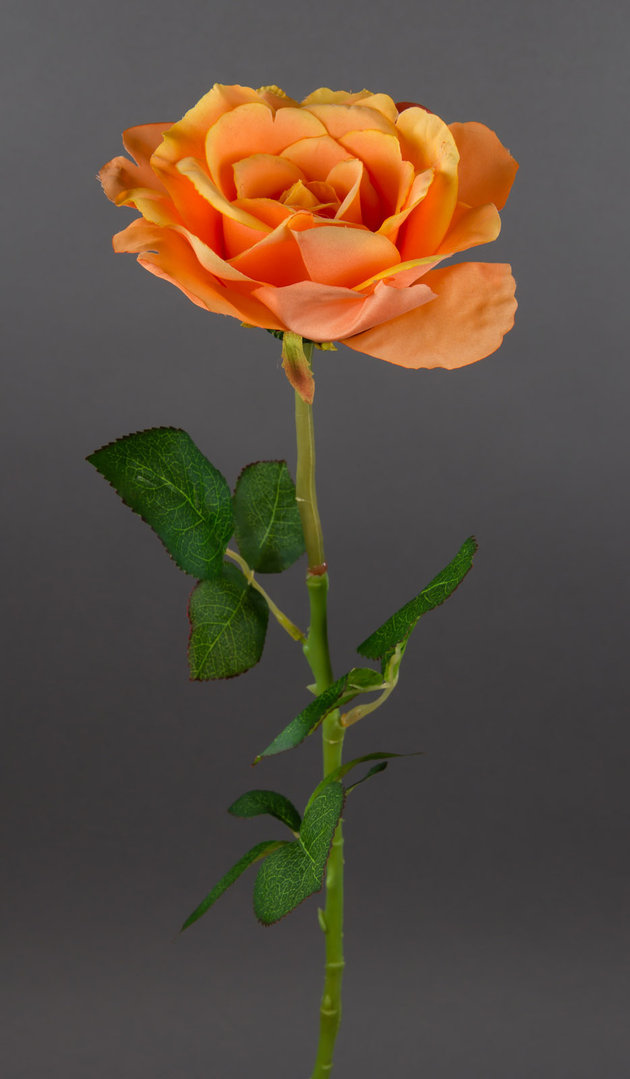 Bogota-Rose 56cm orange DP Kunstblumen Seidenblumen künstliche Blumen Rose