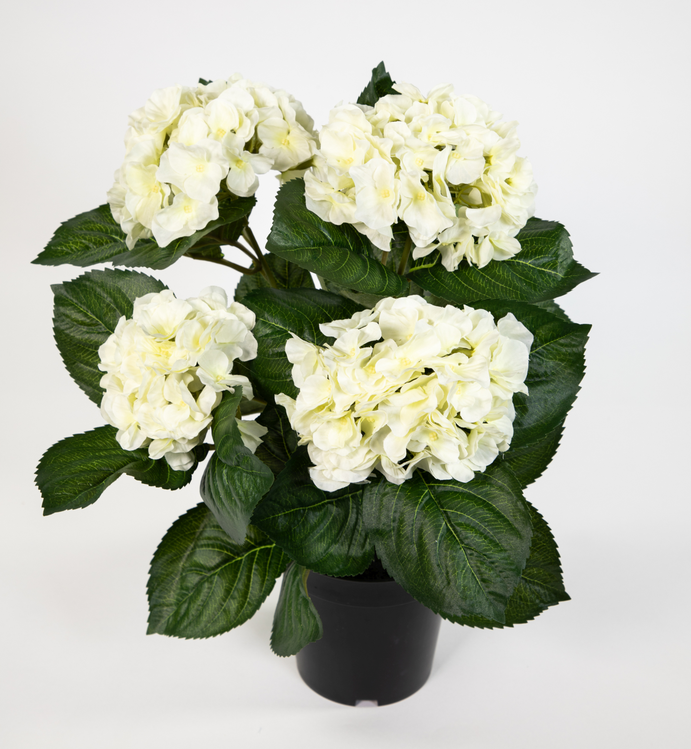 Hortensienbusch Deluxe 42cm weiß-creme im Topf LM Kunstpflanzen künstliche Hortensie Pflanzen Blumen