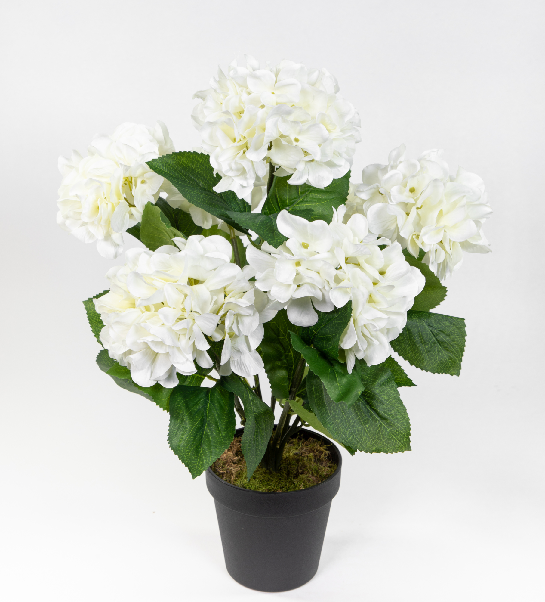 Großer Hortensienbusch 50x38cm weiß im Topf GA Kunstpflanze Kunstblumen künstliche Hortensie Pflanze