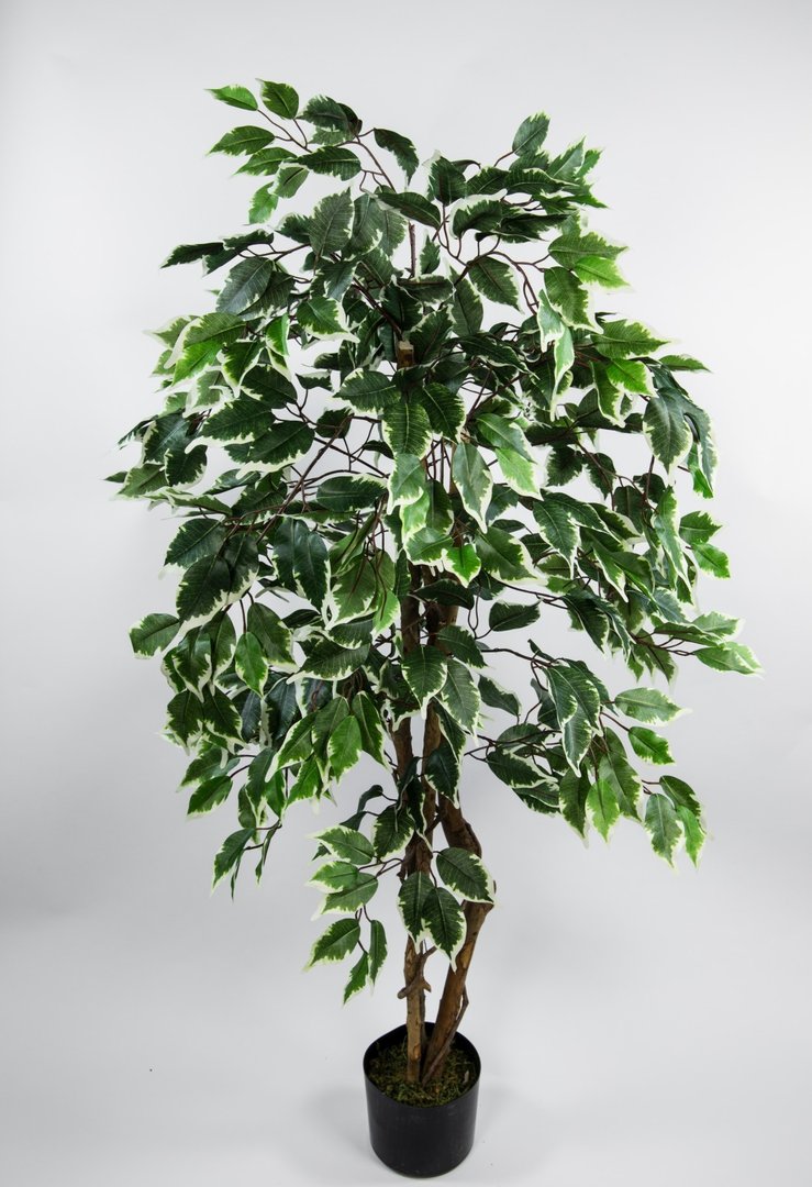 Ficus Excotica 120cm grün-creme DA Kunstbaum Dekobaum Kunstpflanzen künstlicher Baum Birkenfeige