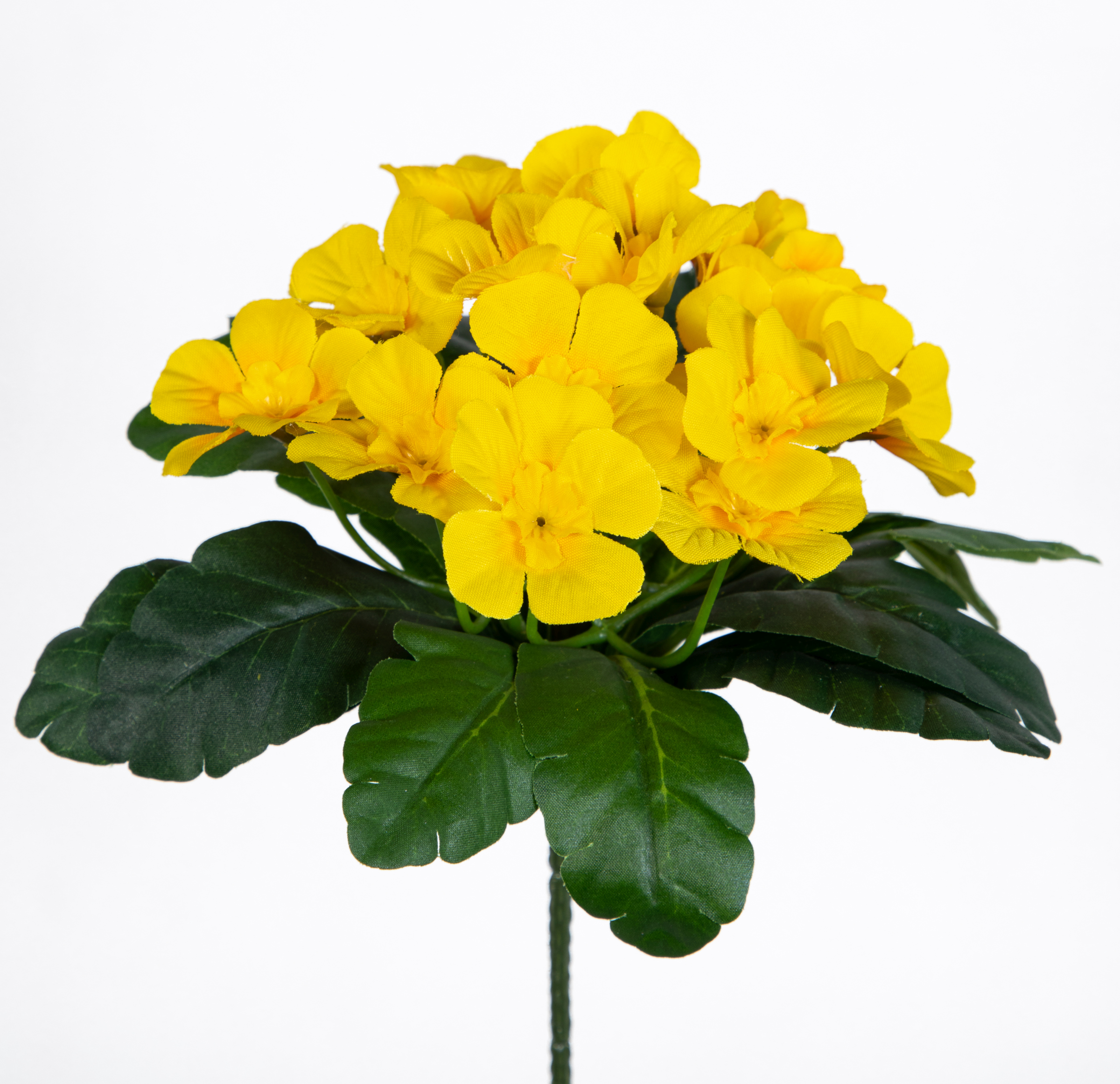 Primelbusch 24x22cm gelb mit 20 Blüten PM Kunstblumen Kunstpflanzen künstliche Primel Schlüsselblume