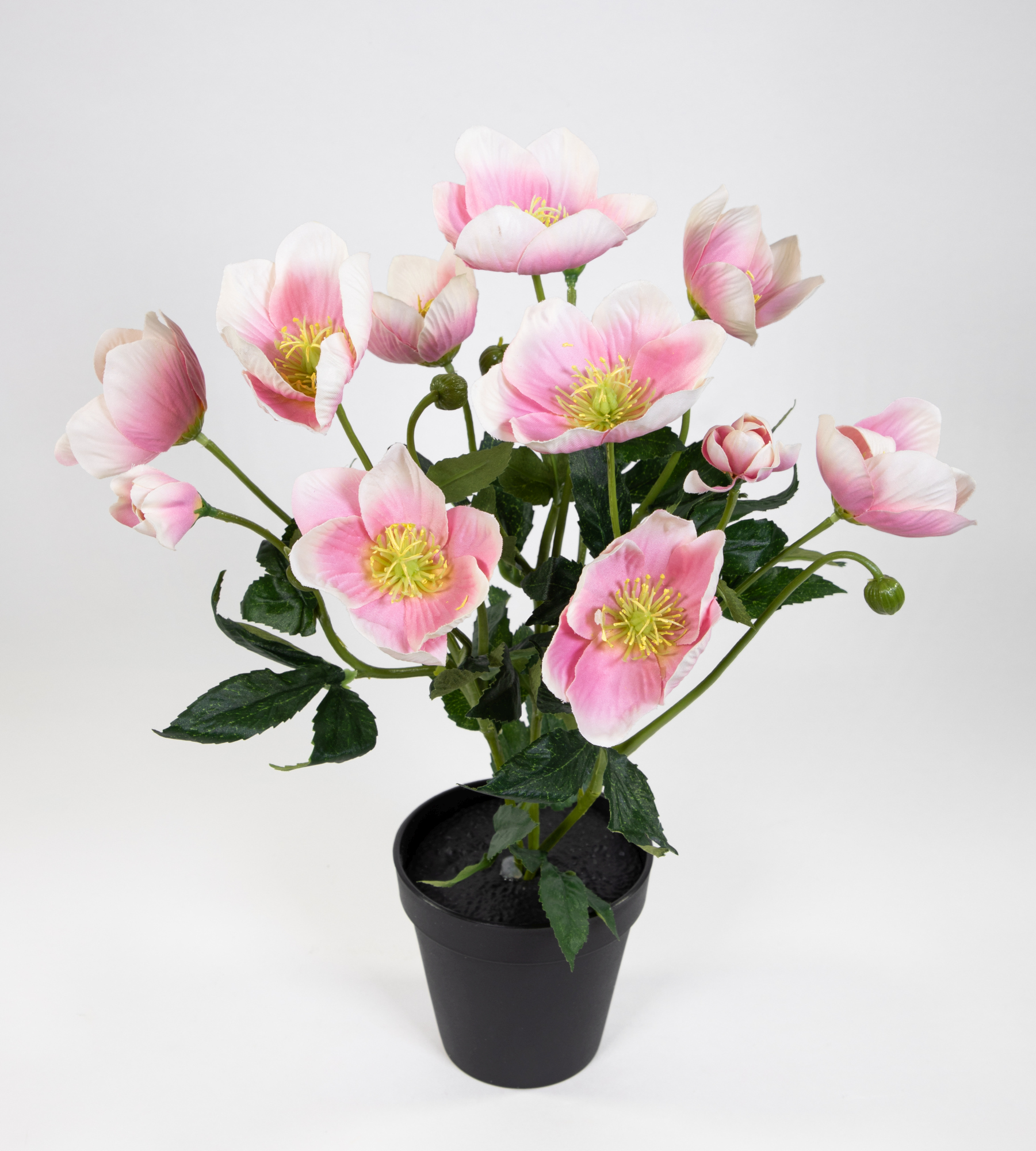 Christrosenbusch 36cm hellrosa im Topf PM Kunstblumen künstliche Christrose  Blumen Kunstblumen