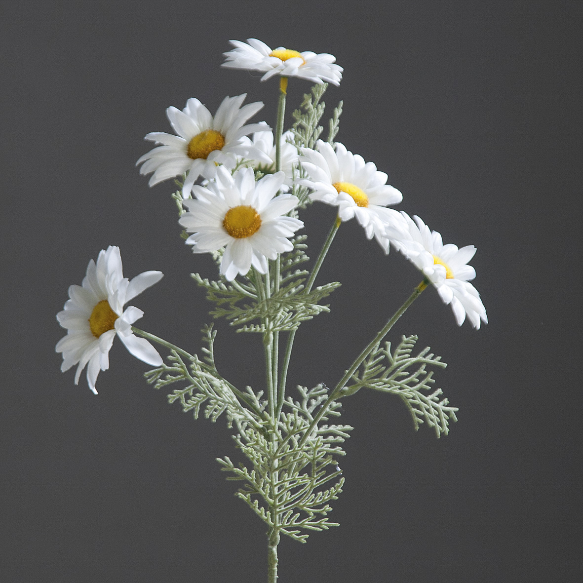Margeritenzweig 56cm weiß DP Kunstblumen künstliche Blumen Margerite