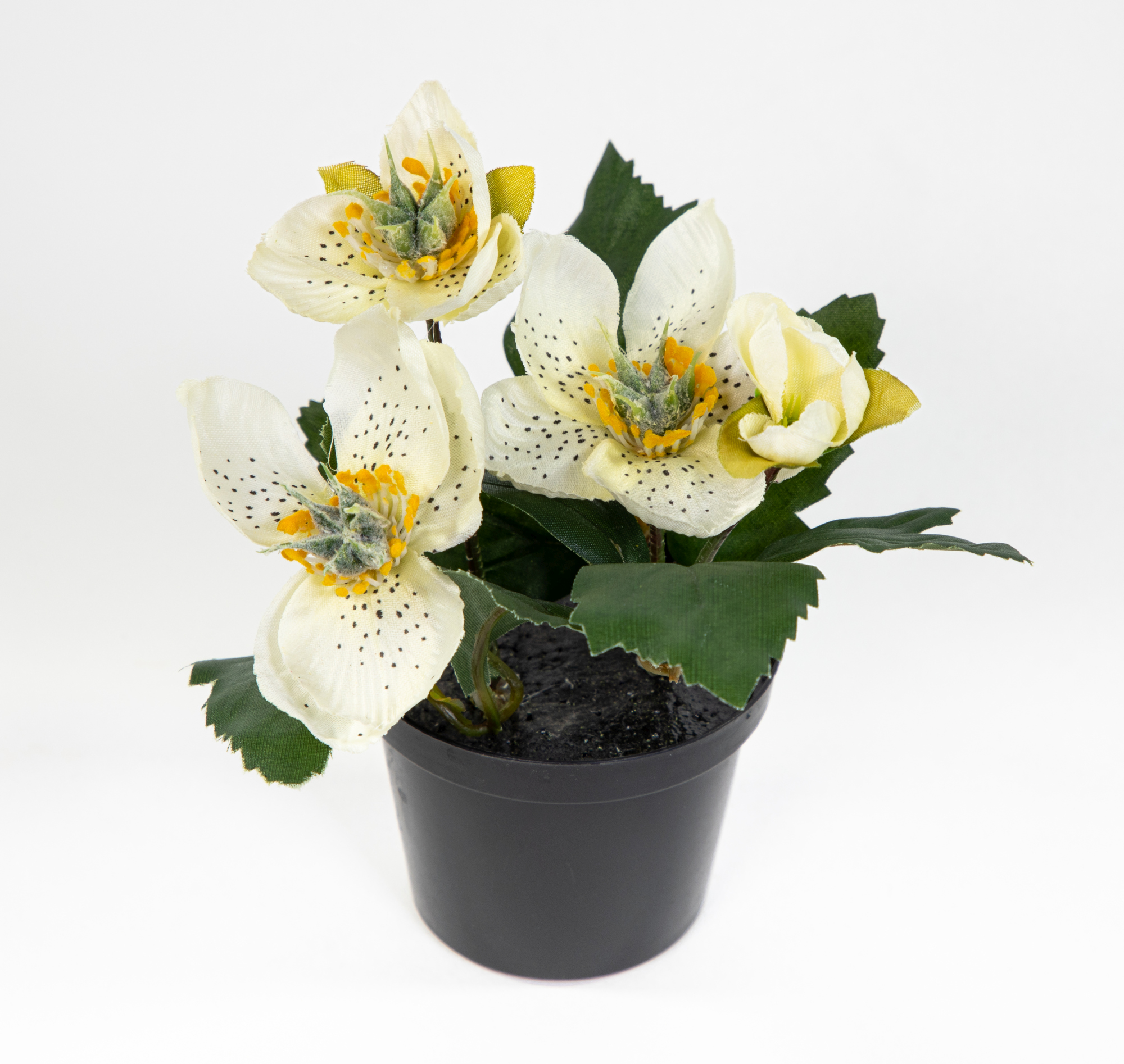 Mini Christrose 15cm weiß im Topf DP Kunstblumen künstliche Helleborus Blumen Pflanzen Kunstpflanzen