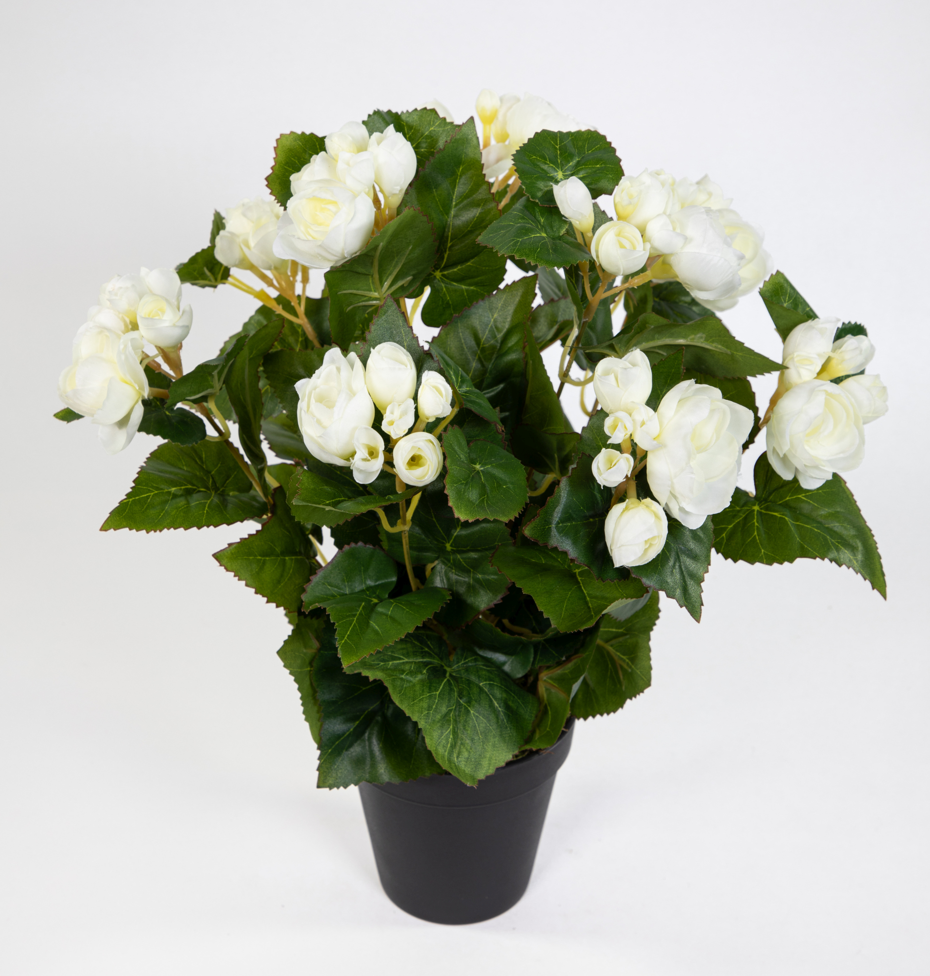 Begonie 38cm weiß im Topf LM Kunstpflanzen künstlicher Begonienbusch  künstliche Pflanze Kunstblumen