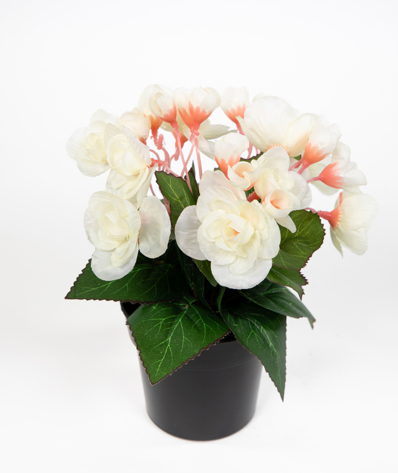 Begonie 20cm weiß im Topf JA Kunstpflanzen Begonienbusch künstliche Blumen Pflanzen Kunstblumen