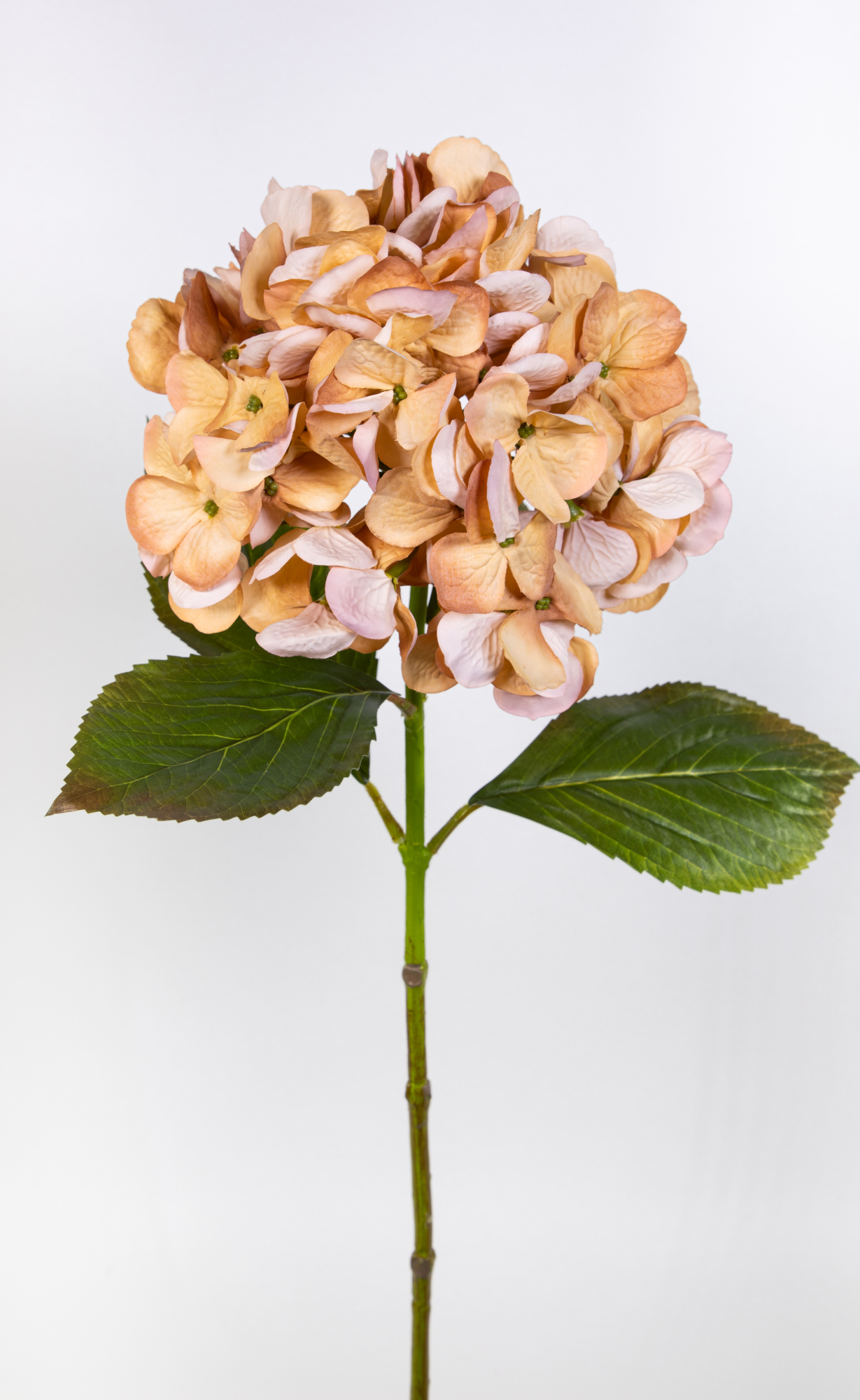 Hortensie 68cm gelb-hellgelb GA Seidenblumen Kunstlbumen künstliche Blumen Hortensien Hydrangea