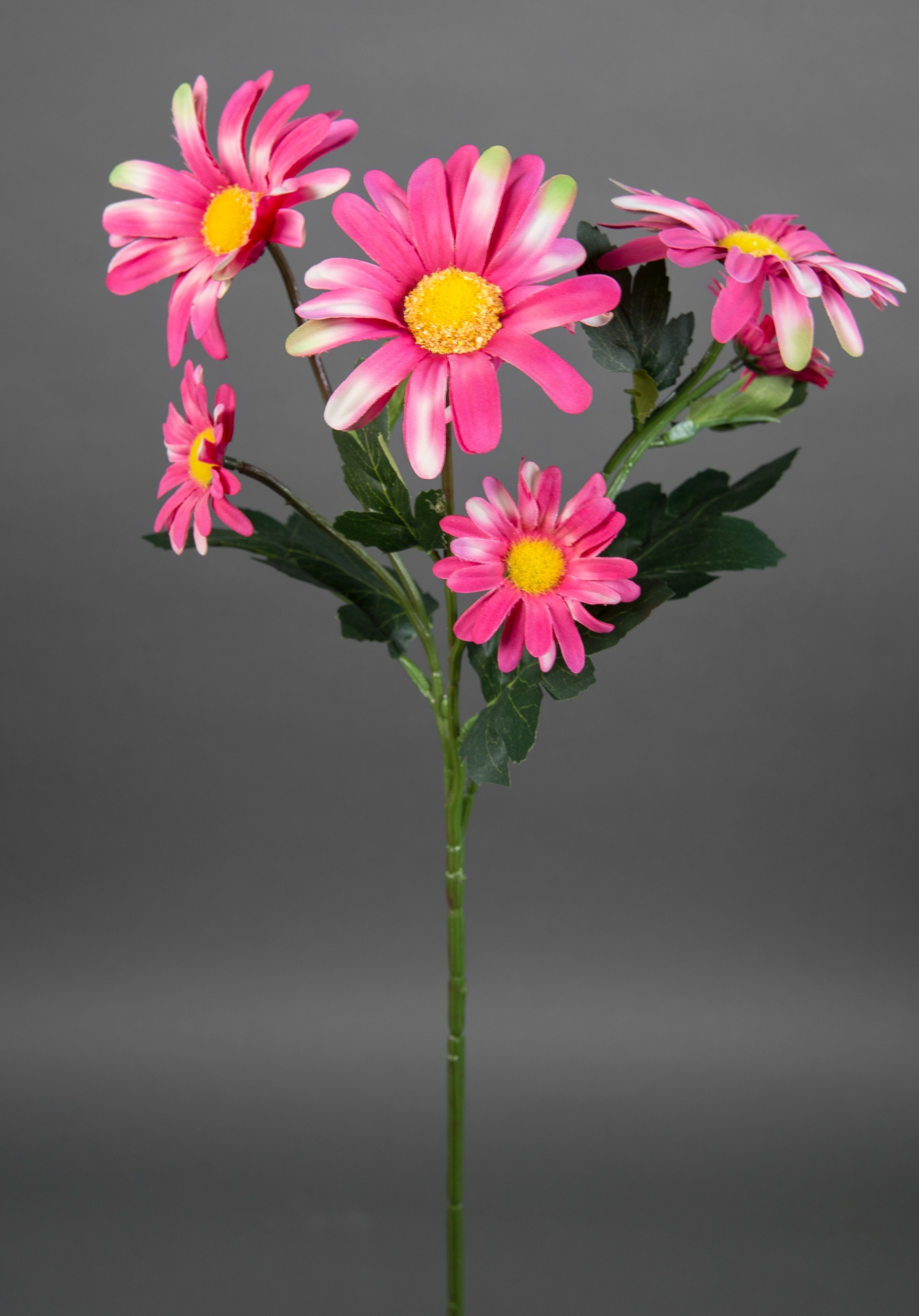 Margeritenzweig 60cm rosa-pink LM Kunstblumen künstliche Blumen Margerite