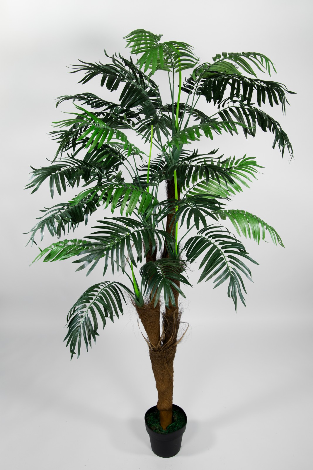 Arekapalme Kokosstamm 180cm ZJ künstliche Palmen Palme Kunstpalmen Kunstpflanzen Dekopalme