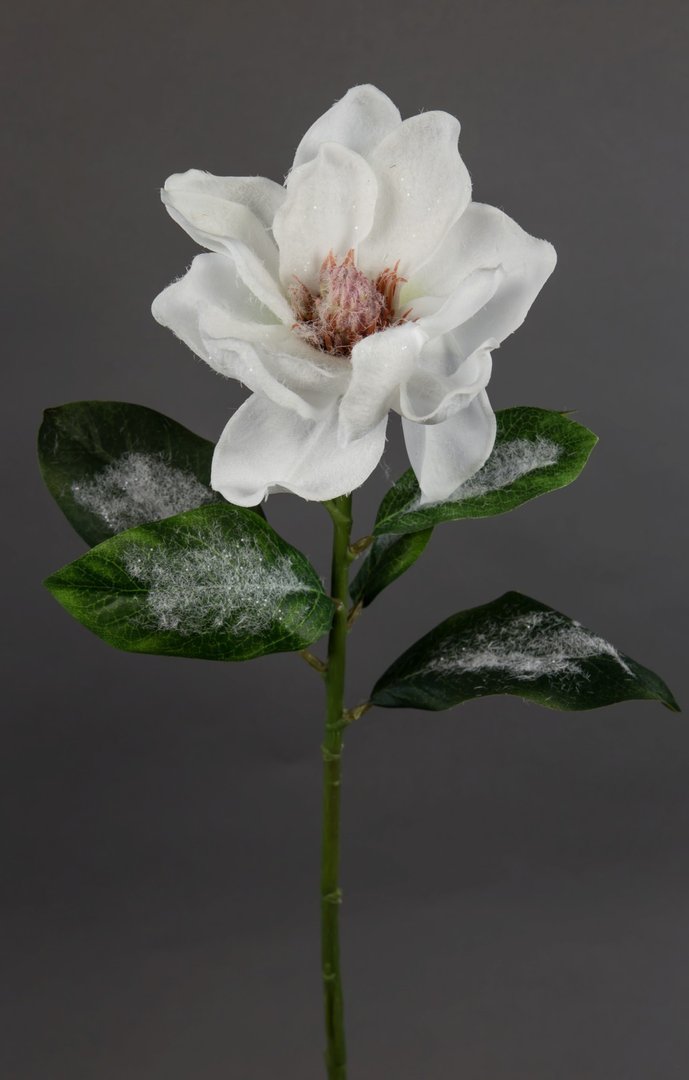 Magnolie mit Schnee- und Eiskristallen 54cm DP Kunstpflanzen Seidenblumen künstliche Blumen Pflanzen