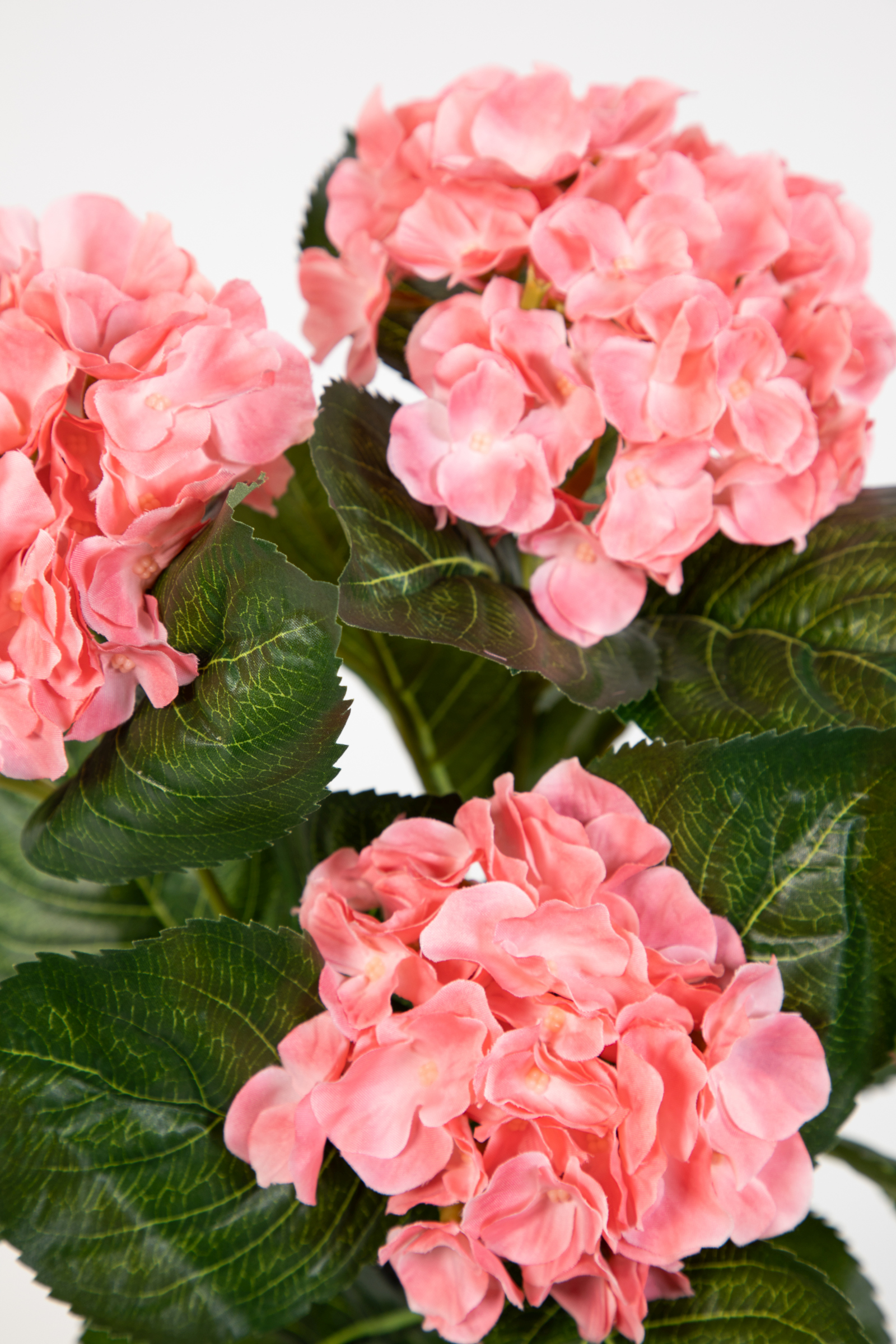 Hortensienbusch Deluxe 42cm rosa-pink im Topf LM Kunstpflanzen künstliche  Hortensie Pflanzen Blumen