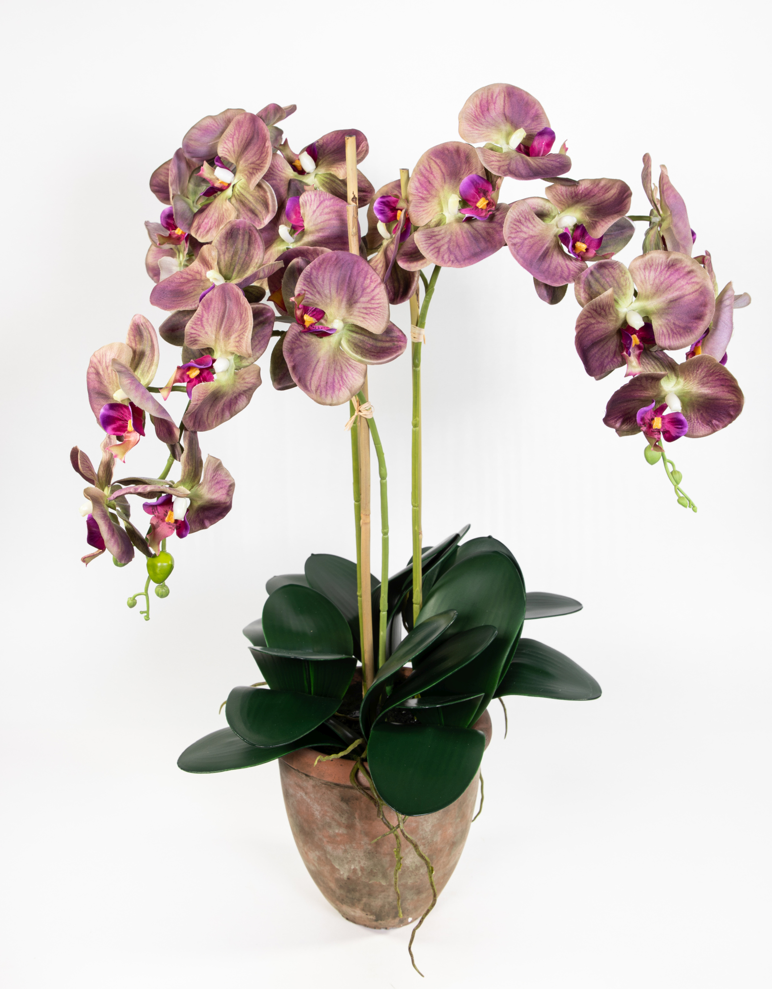 Orchidee 75x60cm lila-grün im Terracottatopf GA künstliche Phalaenopsis Blumen Kunstblumen