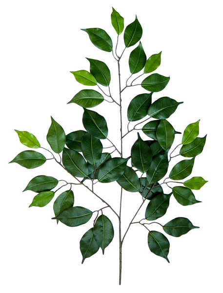 12 Stück Ficuszweig 60cm grün mit 42 Blättern DA künstlicher Zweig