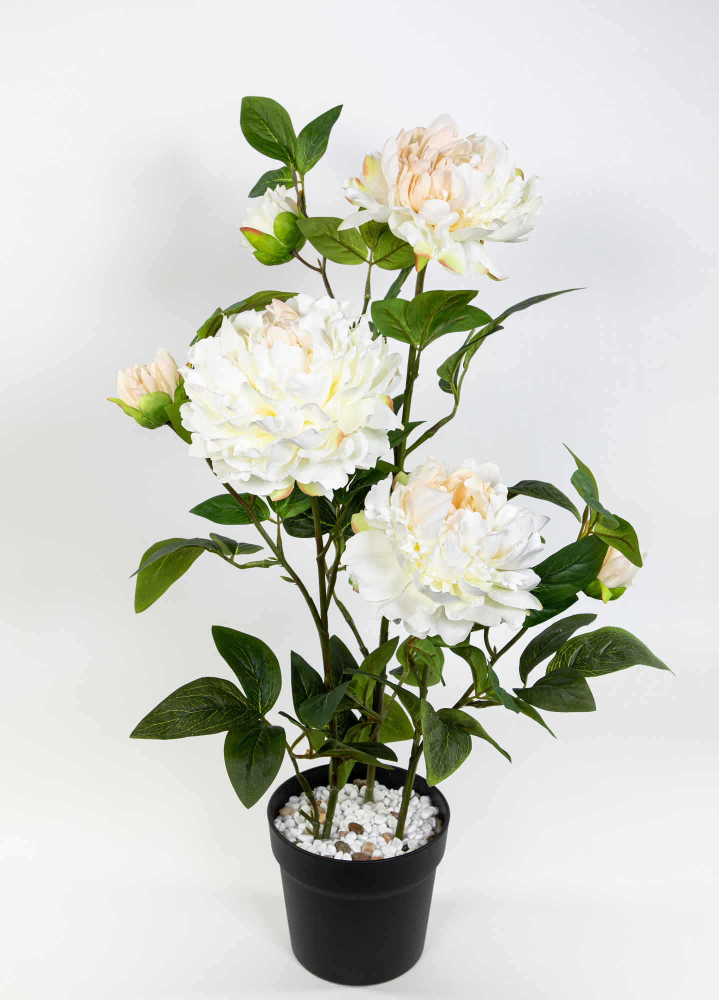 Pfingstrose / Päonie 68cm weiß-creme im Topf GA Kunstblumen künstliche Blumen Pflanzen Kunstpflanzen
