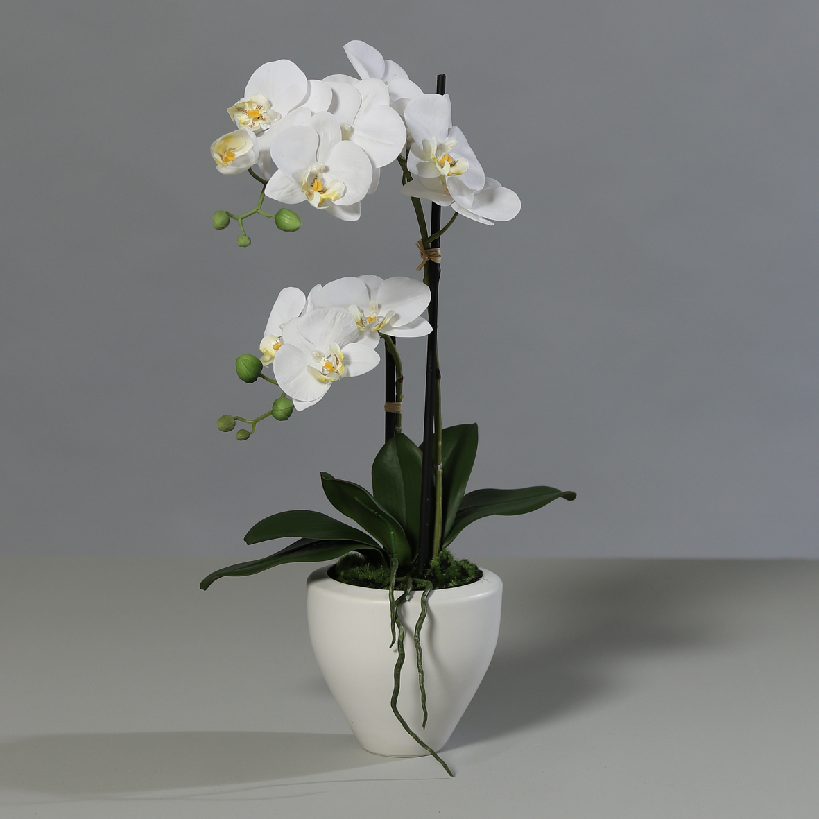 Orchidee Real Touch 62cm weiß im weißen Keramiktopf DP Kunstblumen künstliche Blumen