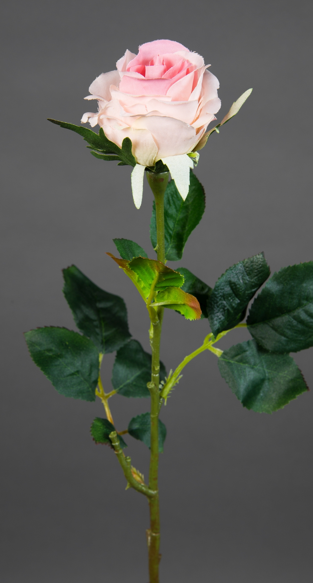 12 Stück Rose Elena 45cm rosa PM Seidenblumen Kunstblumen künstliche Blumen Rosen