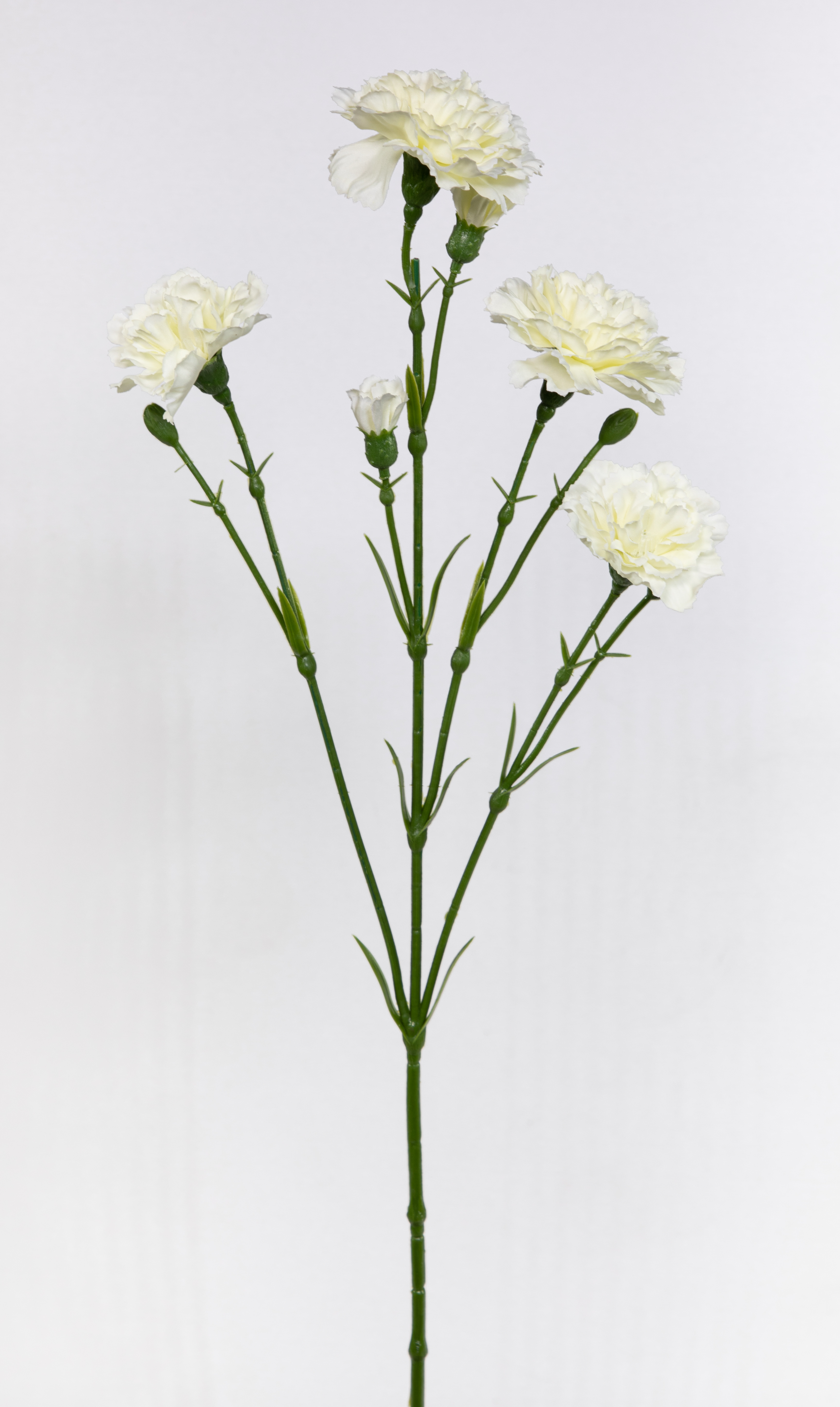 Nelkenzweig 62cm weiß mit 6 Blüten FT Kunstblumen künstliche Nelken Trossnelken Dianthus Blume
