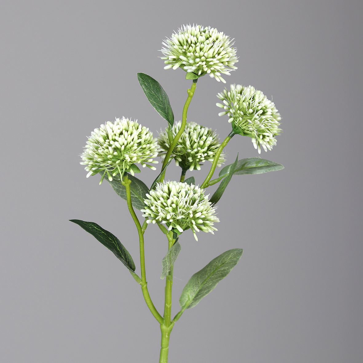 Alliumzweig mit 5 Blüten 56cm weiß DP Kunstblumen künstliche Blumen Allium Lauch