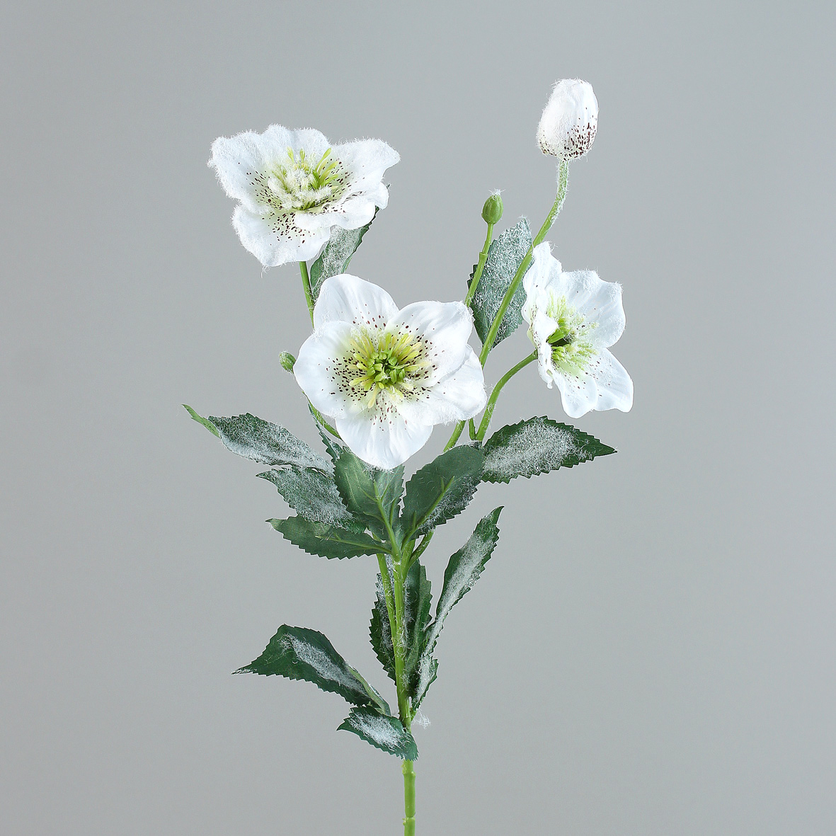 Christrosenzweig 60cm weiß-creme mit Eis und Schnee DP Seidenblumen künstliche Blumen Christrose Hel