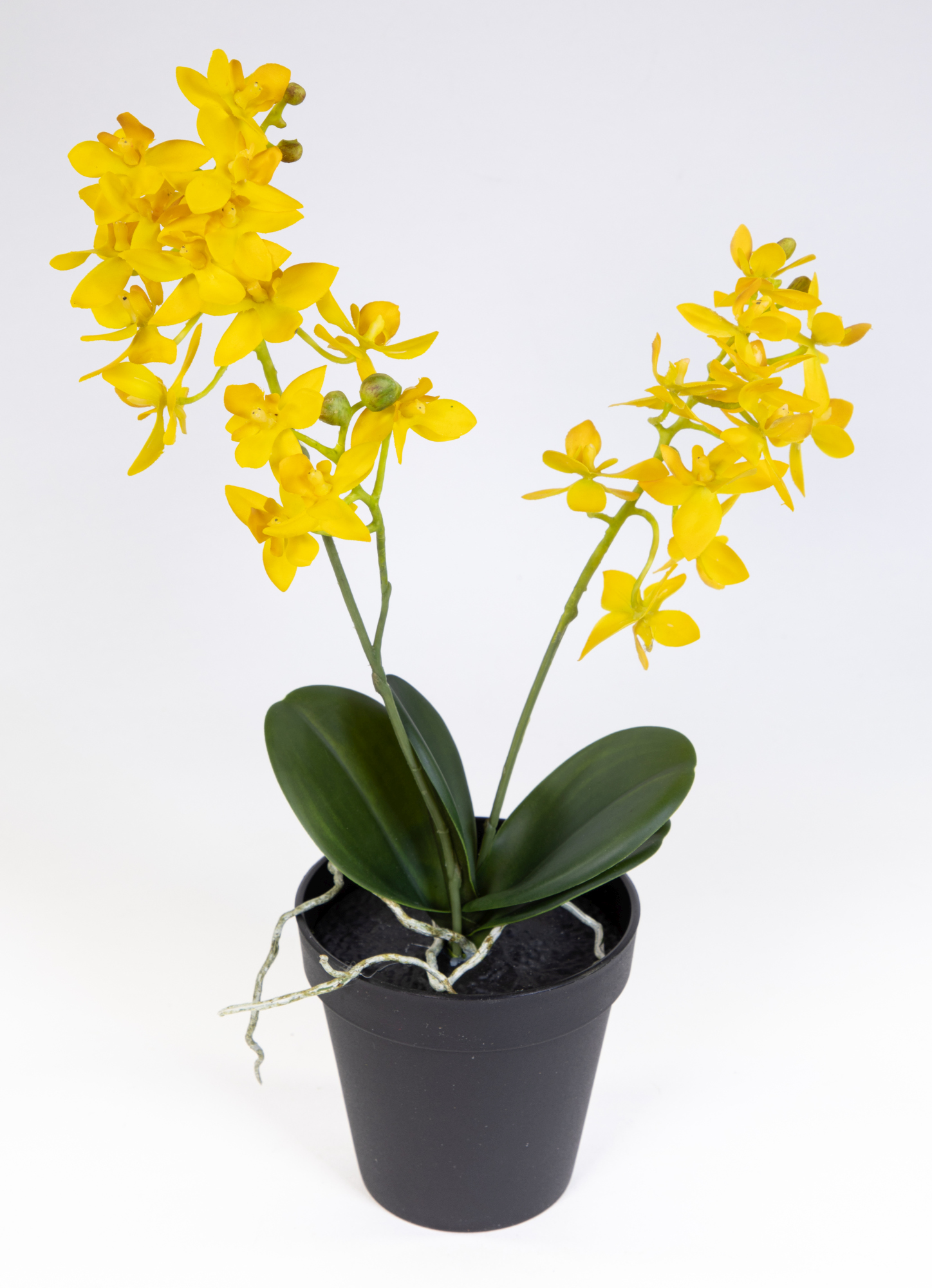 Künstliche Orchidee 38cm gelb im Topf DP Blumen Pflanzen Kunstblumen Kunstpflanzen