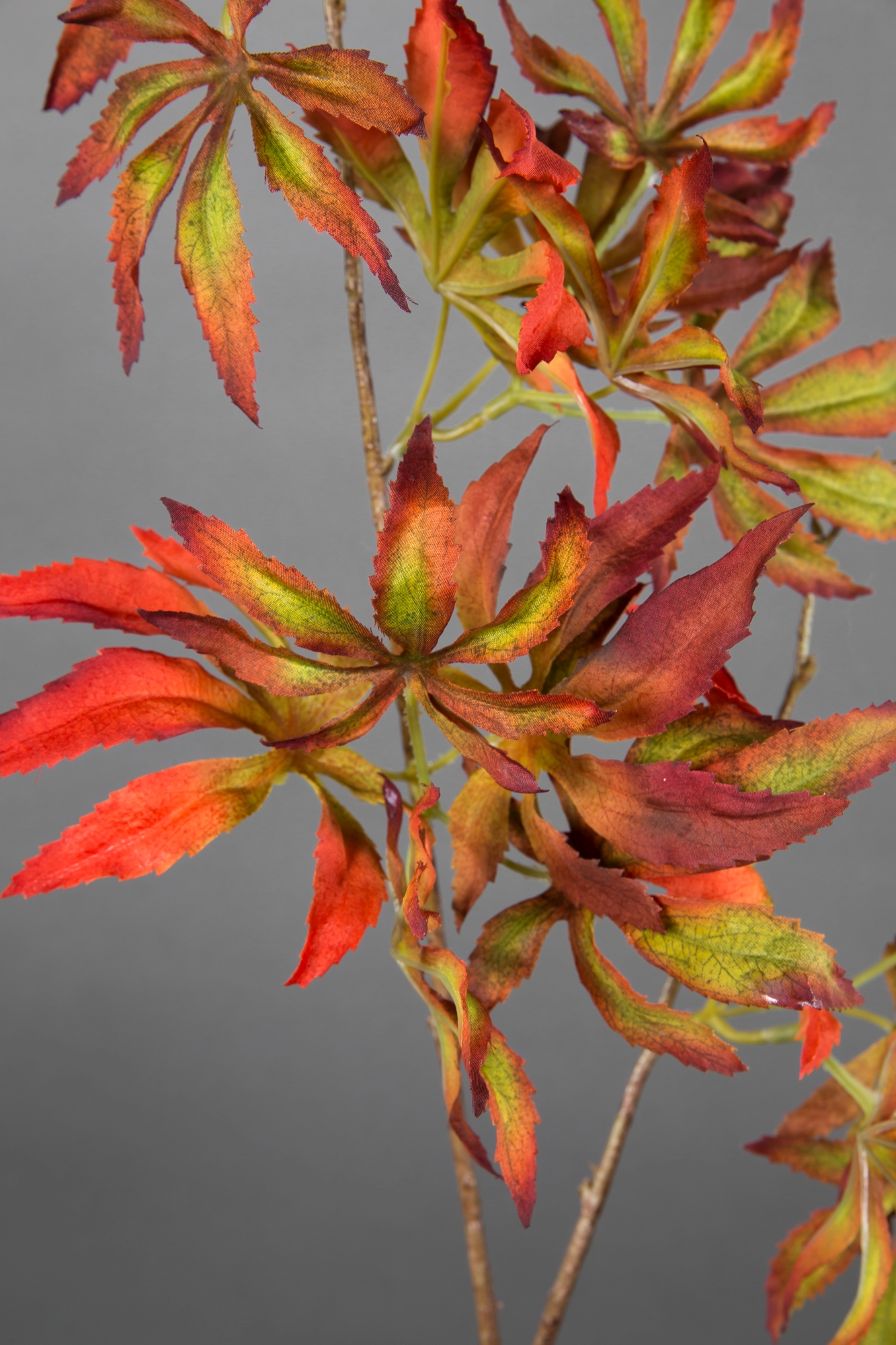 Ahornzweig 80cm rot-orange-grün CG künstlicher Ahorn Zweig Kunstpflanzen | Kunstblumen