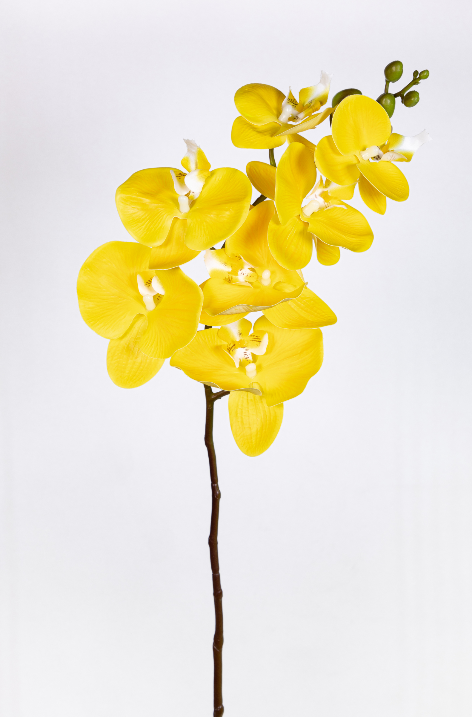 Orchideenzweig Real Touch 94cm gelb ZJ Kunstblumen künstliche Orchidee Orchideen Blumen
