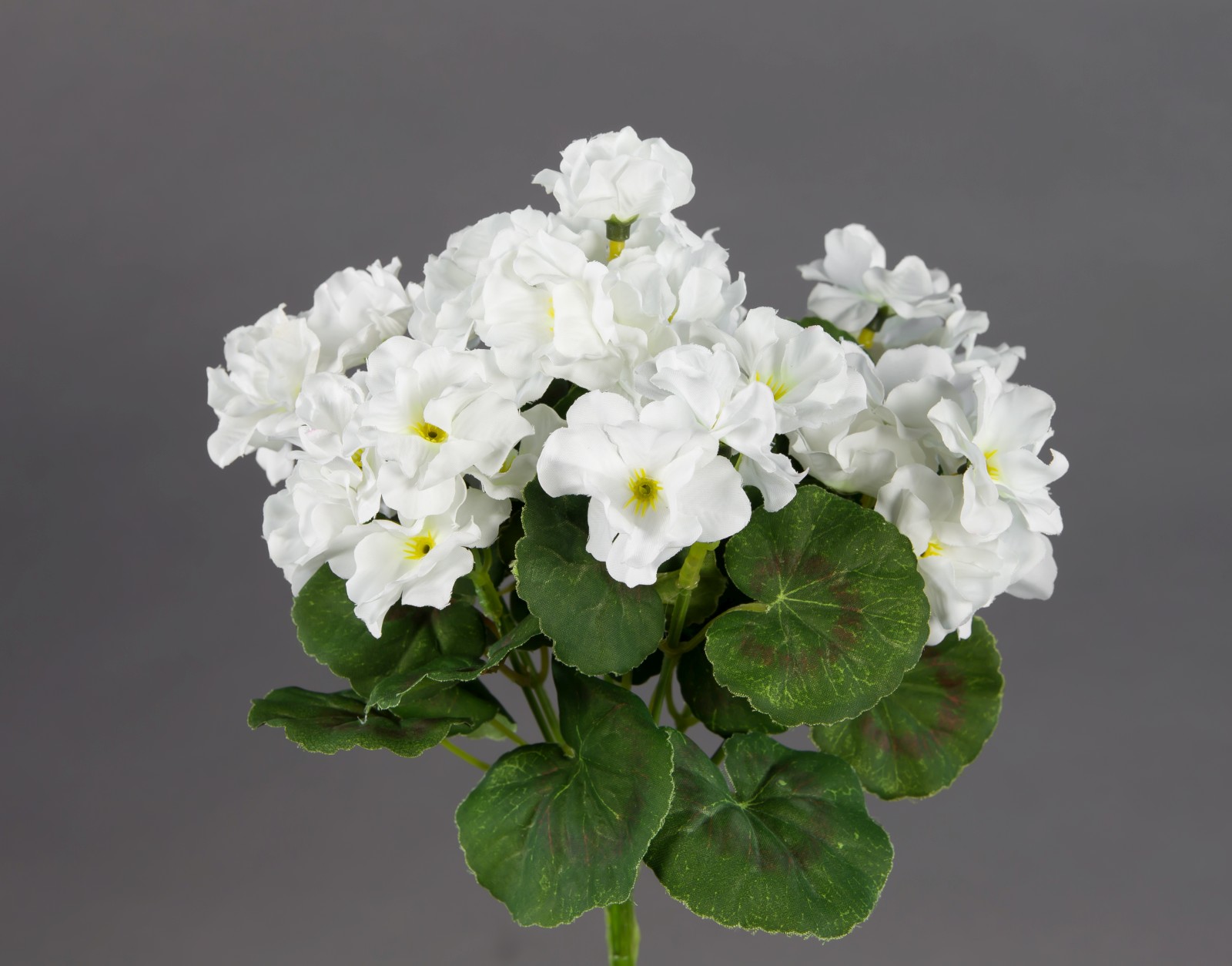 Geranie 26cm weiß -ohne Topf- ZF Kunstpflanzen Kunstblumen künstliche Blumen Pflanzen Pelargonium