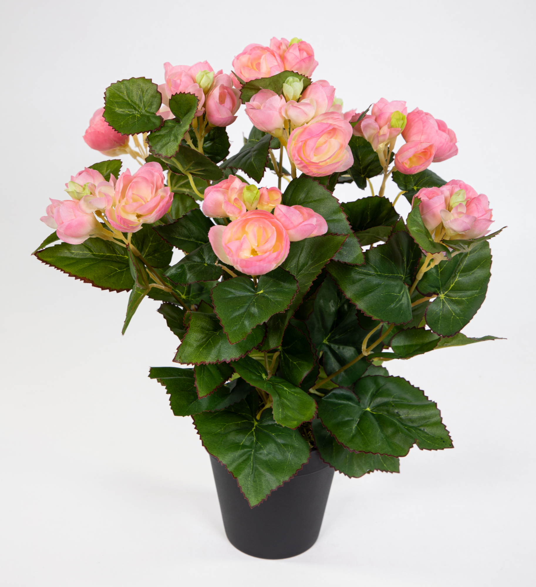 Begonie 38cm rosa im Topf LM Kunstpflanzen künstlicher Begonienbusch künstliche Pflanze Kunstblumen