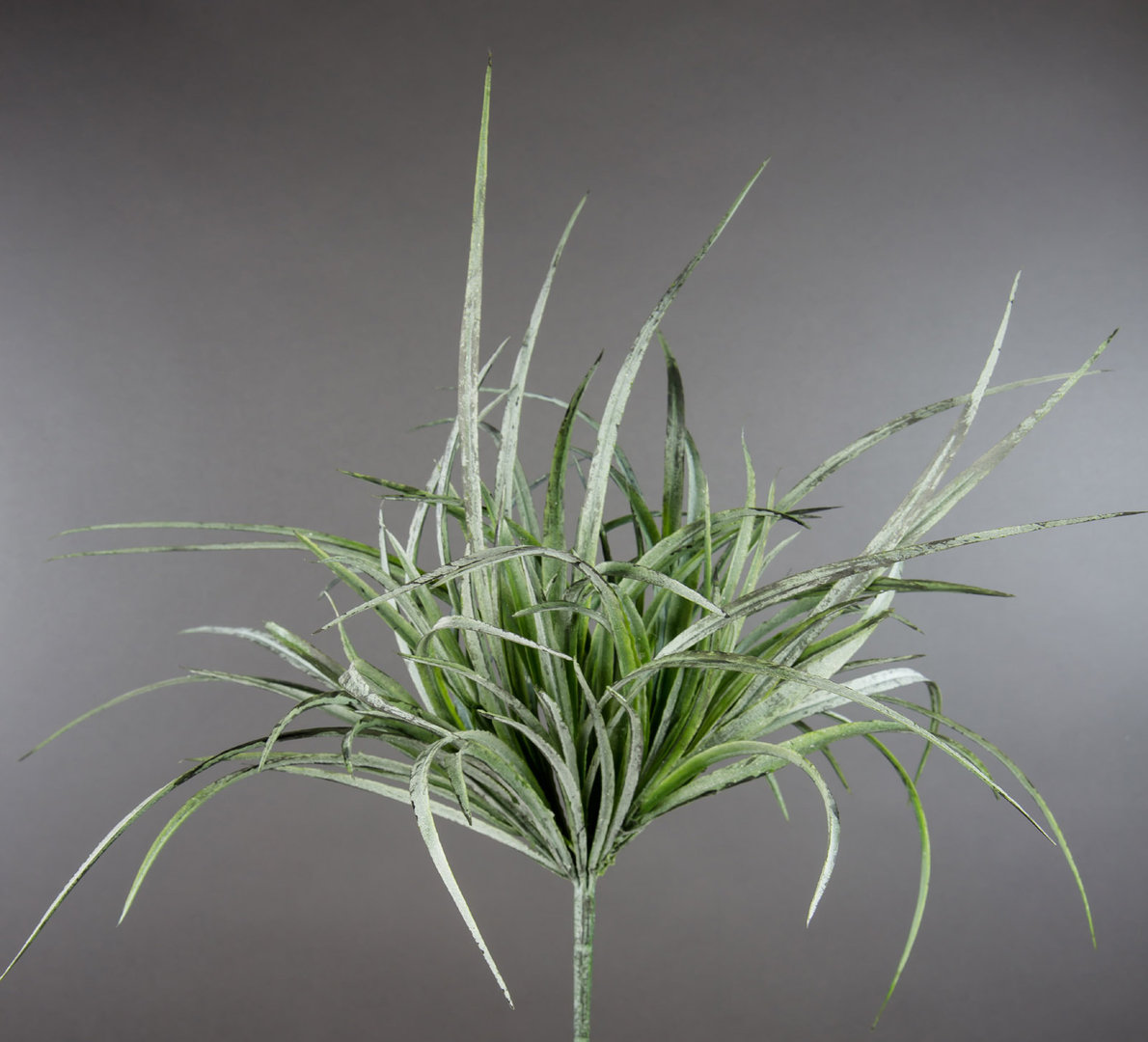 Grasbusch 38cm bemehlt -ohne Topf- DP künstliche Pflanzen Kunstgras Kunstpflanzen künstliches Gras