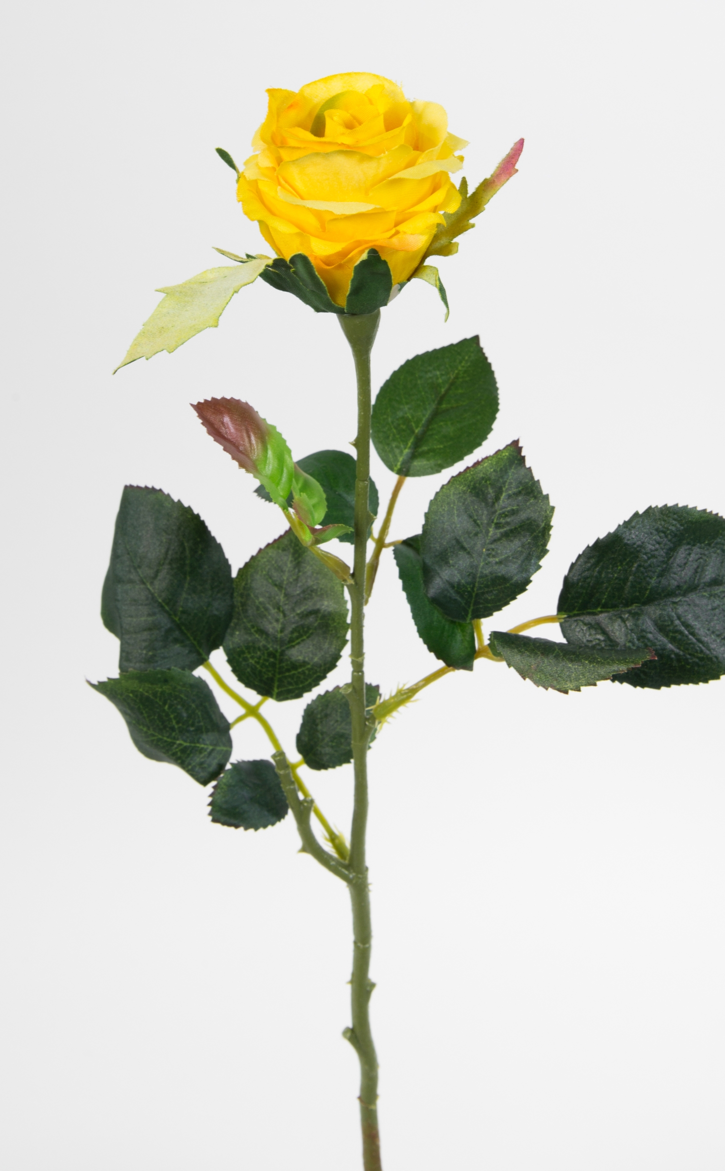 12 Stück Rose Elena 45cm gelb PM Seidenblumen Kunstblumen künstliche Blumen Rosen