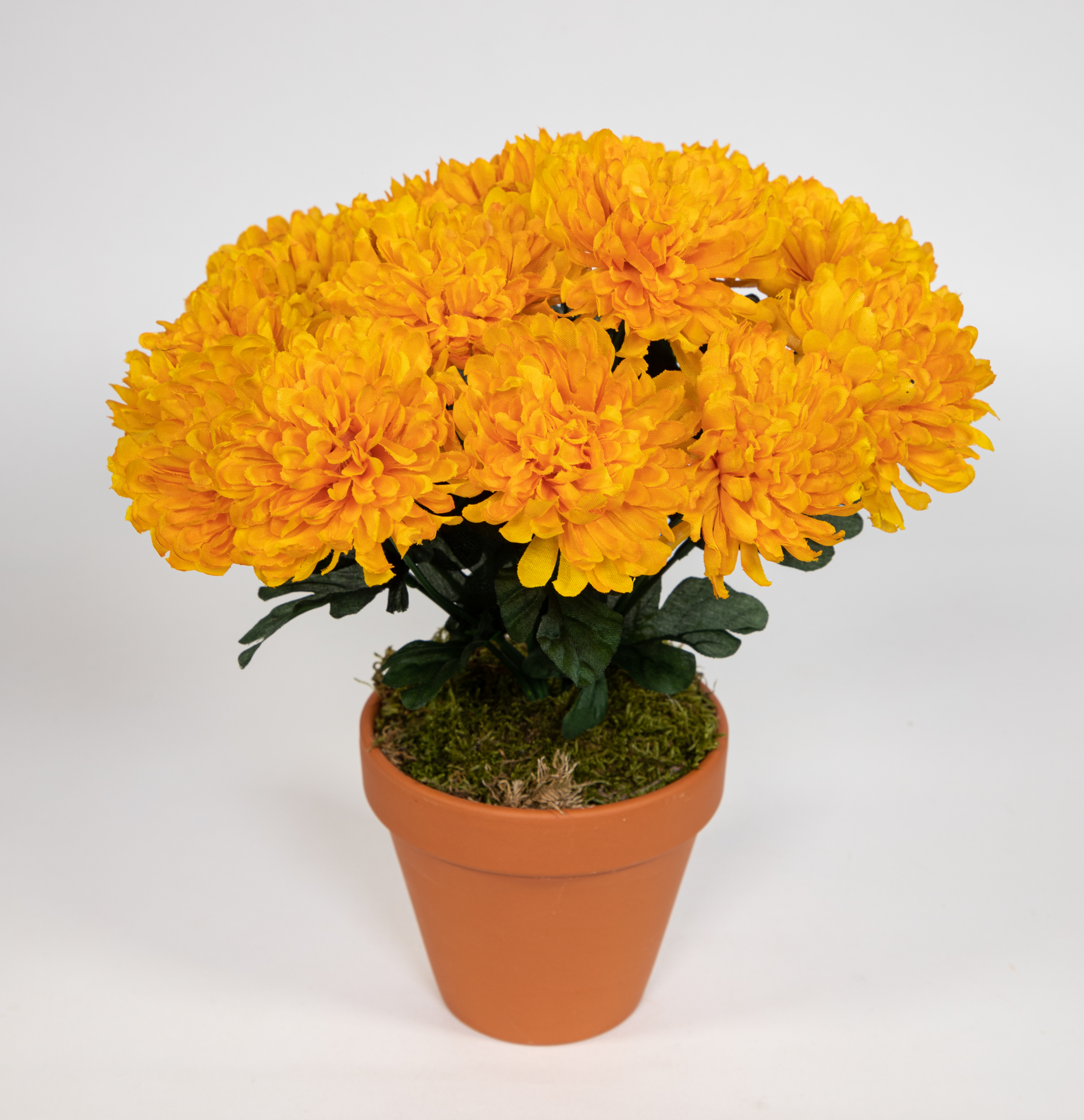 Chrysantheme 30cm gelb im Topf DP Kunstpflanzen künstliche Pflanzen Blumen Kunstblumen