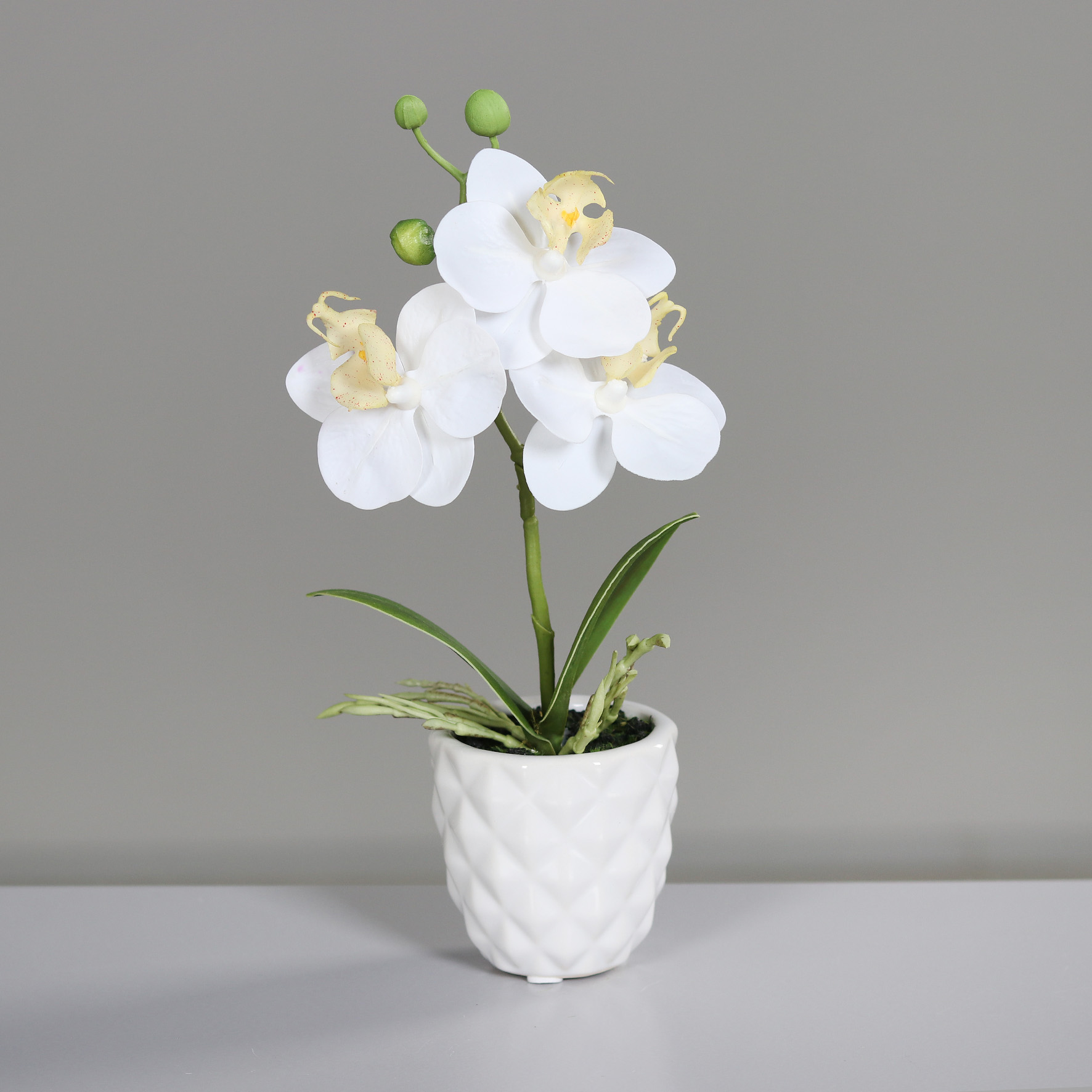 Mini Orchidee Real Touch 24cm weiß im weißen Keramiktopf DP künstliche Blumen Orchideen Kunstpflanze