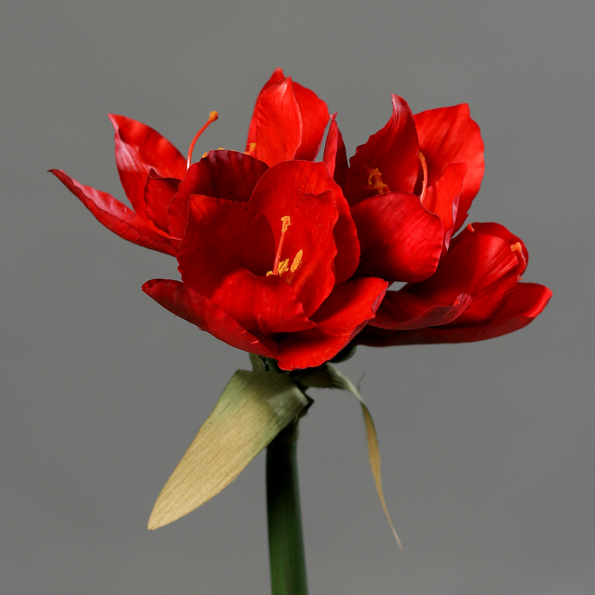 Amaryllis Real Touch 36cm rot DP Kunstblumen künstliche Blumen Pflanzen