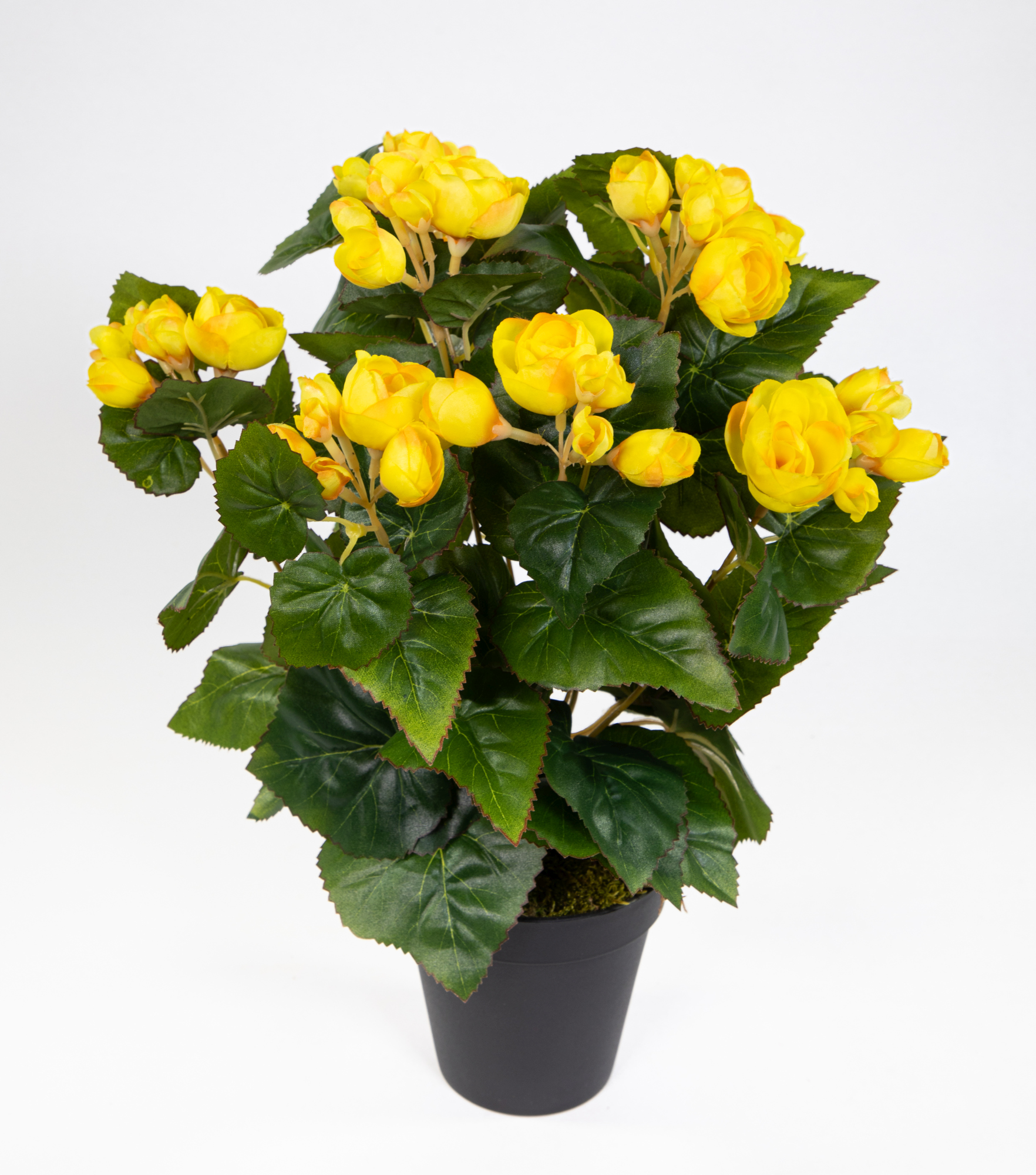 Begonie 38cm gelb im Topf LM Kunstpflanzen künstlicher Begonienbusch künstliche Pflanzen Kunstblumen