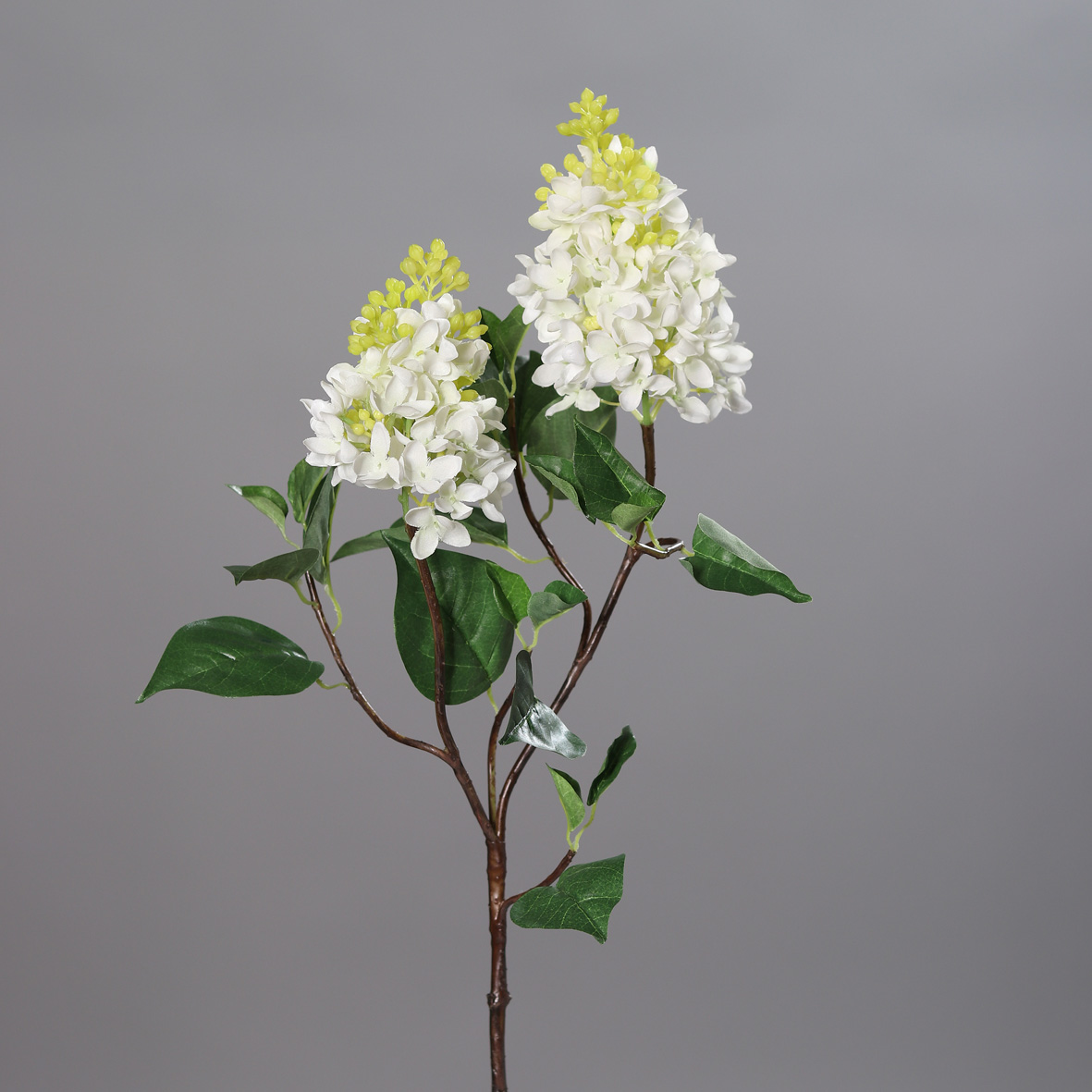 Fliederzweig mit 2 Dolden 90cm weiß DP Kunstblumen Seidenblumen künstlicher Flieder Syringa Zweige Blumen