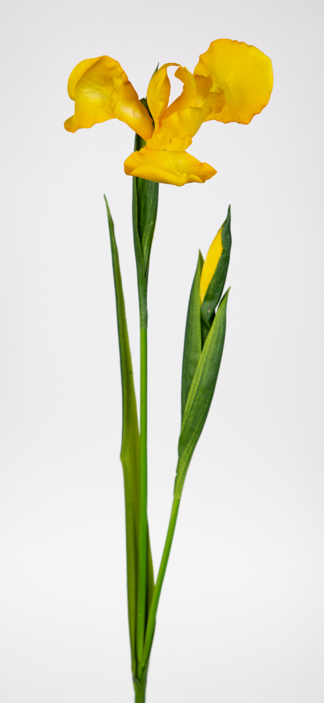 Schwertlilie / Iris 76cm gelb CG Kunstblumen Dekoblumen künstliche Blumen Seidenblumen