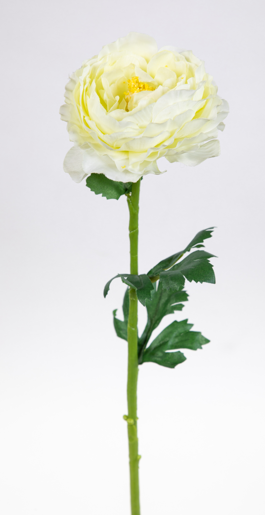 Ranunkel 46cm weiß OG Kunstblumen künstliche Ranunkelzweig Hahnenfuß Blumen Seidenblumen