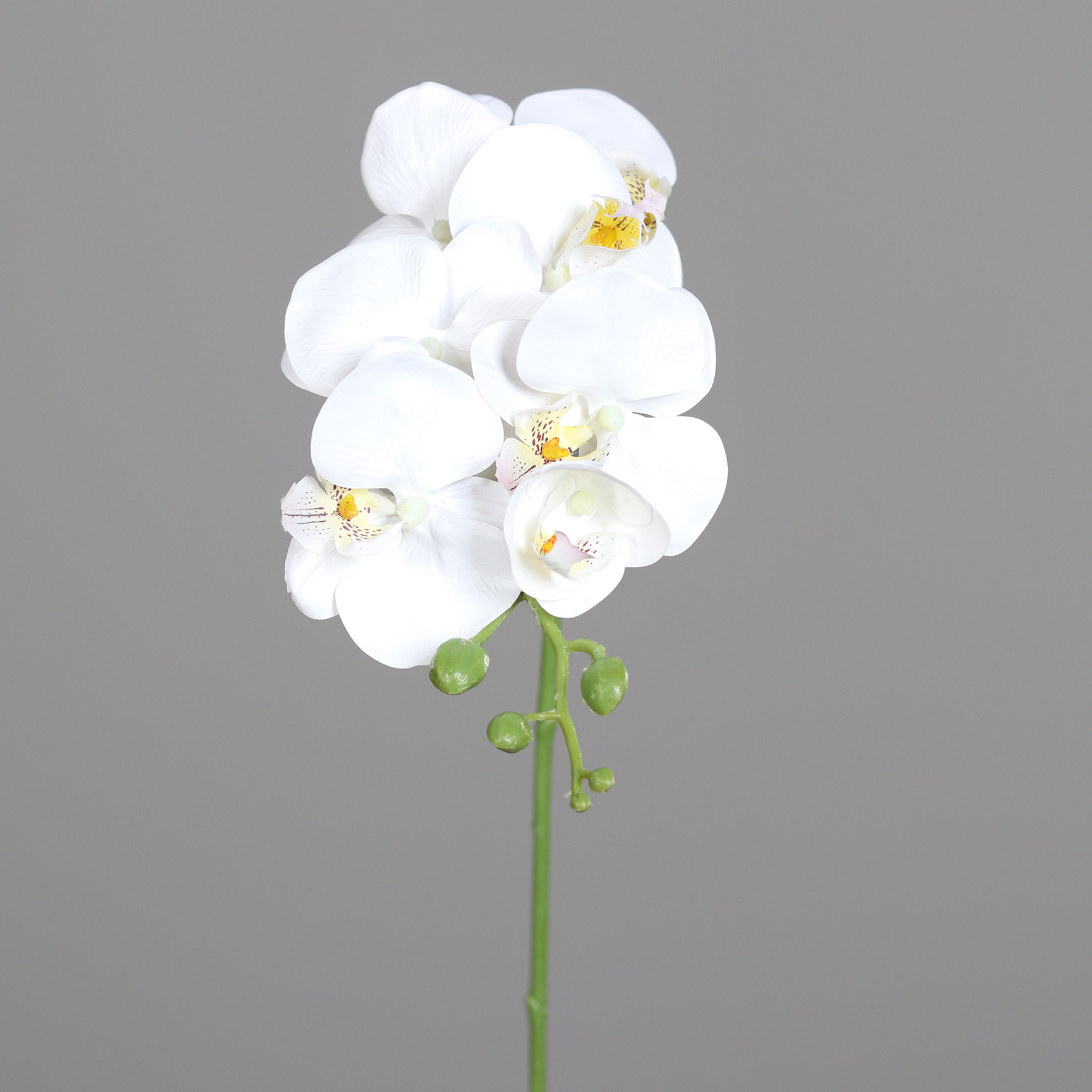Orchideenzweig Real Touch 78cm weiß DP Kunstblumen künstliche Orchidee Phalaenopsis Blumen